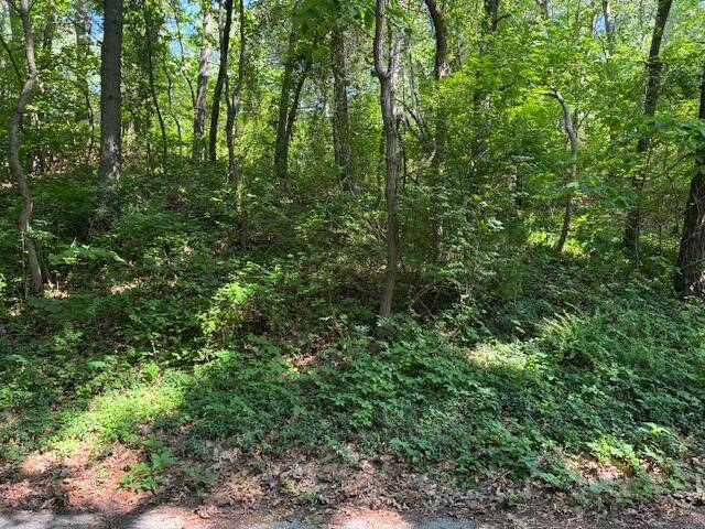 Grand Beach, MI 49117,4 Lilac Lane