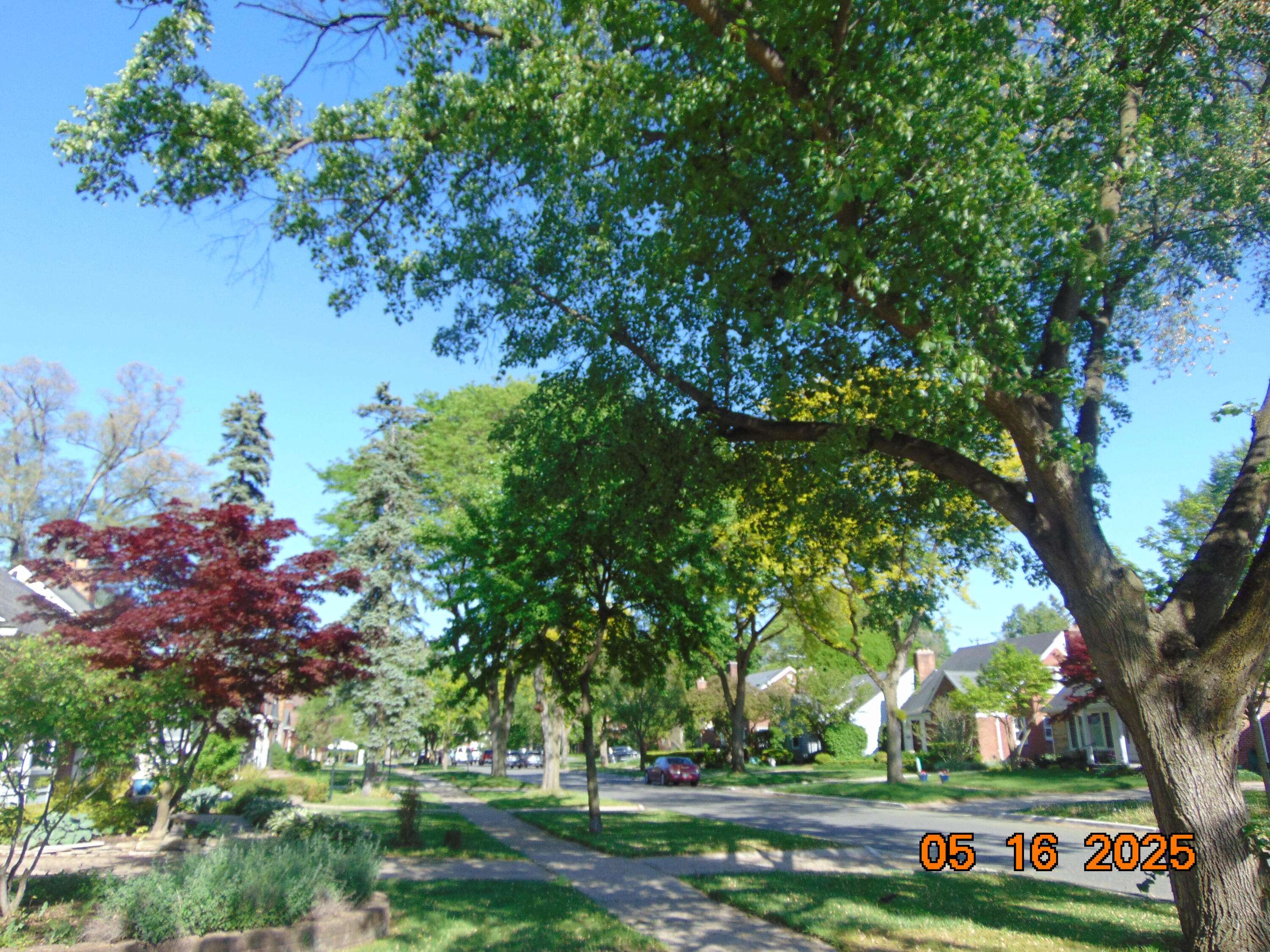 Huntington Woods, MI 48070,10114 Lincoln Drive