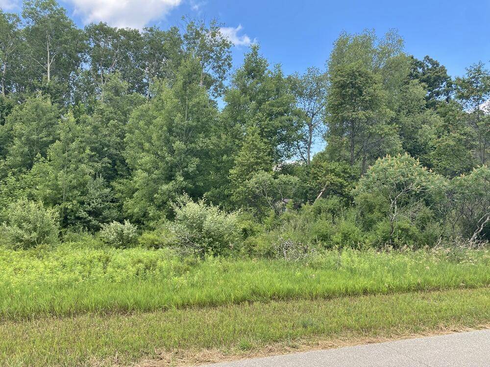 Stanwood, MI 49346,11390 Old Pierce Road