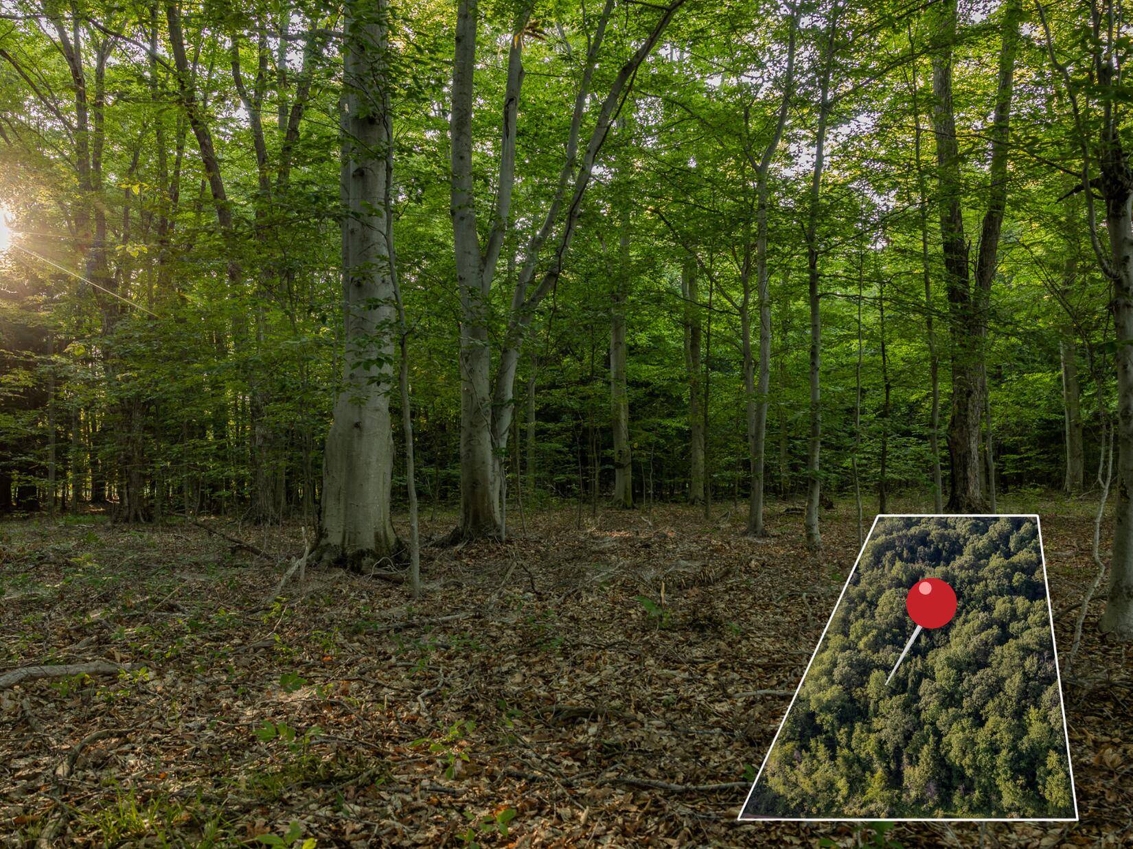 Rothbury, MI 49452,Lot 2 E Arthur Road