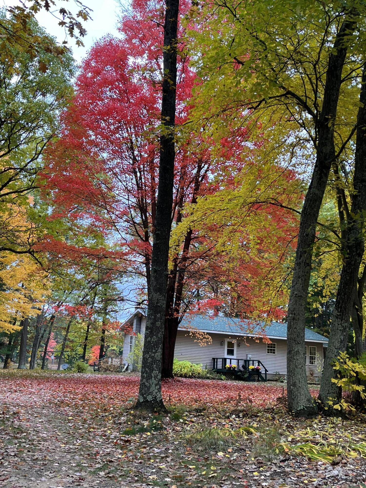 Wellston, MI 49689,17924 Round Lake Road