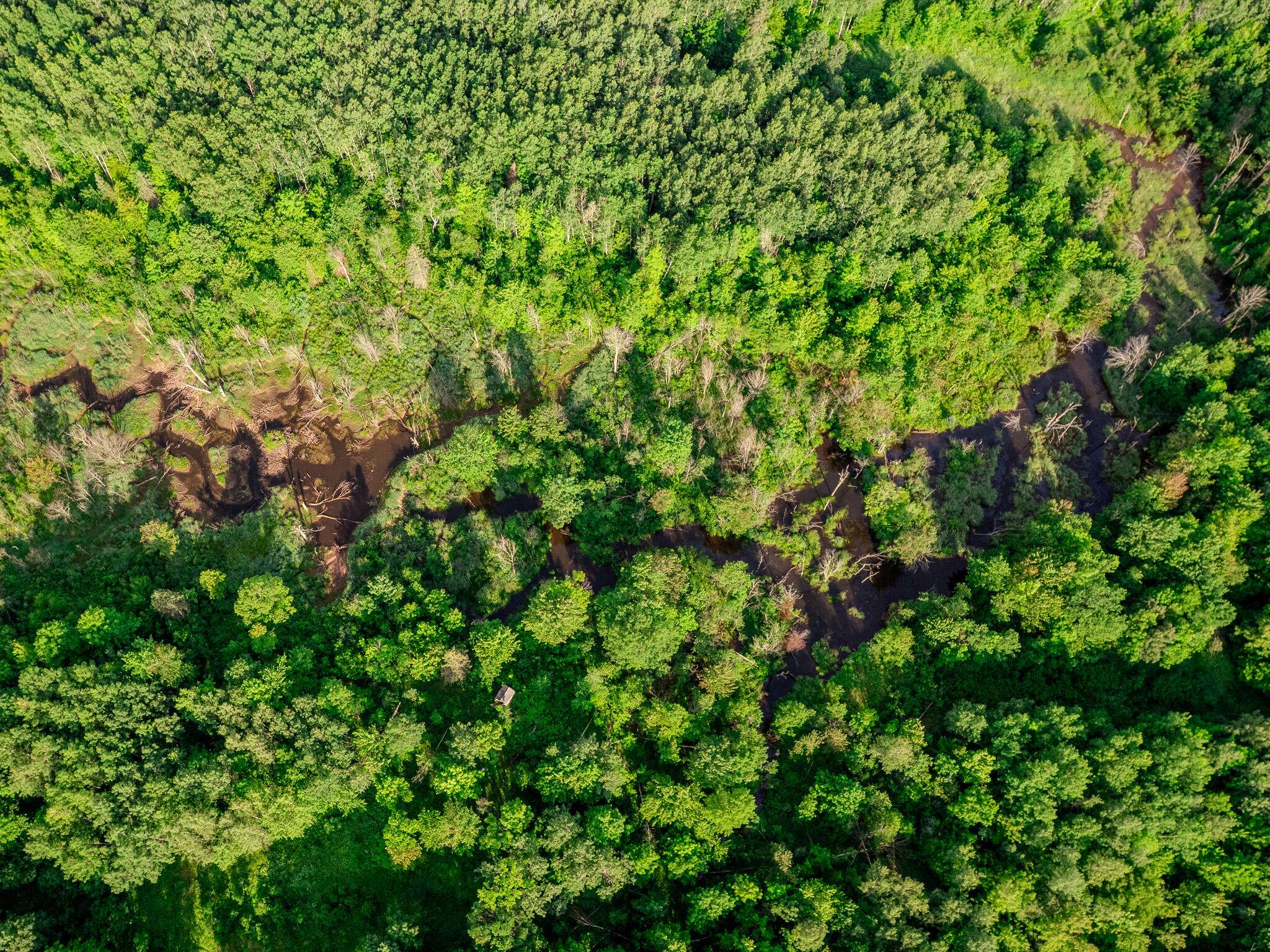 Ontonagon, MI 49953,30659 Townline Road #Lot 4