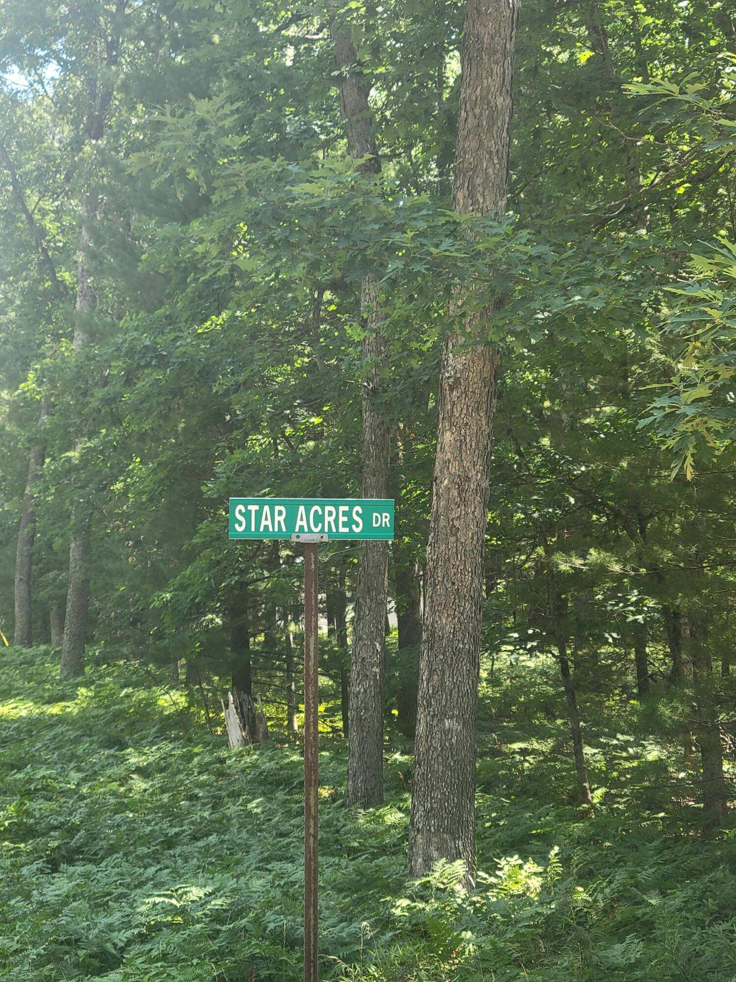 Baldwin, MI 49304,Star Acres Drive