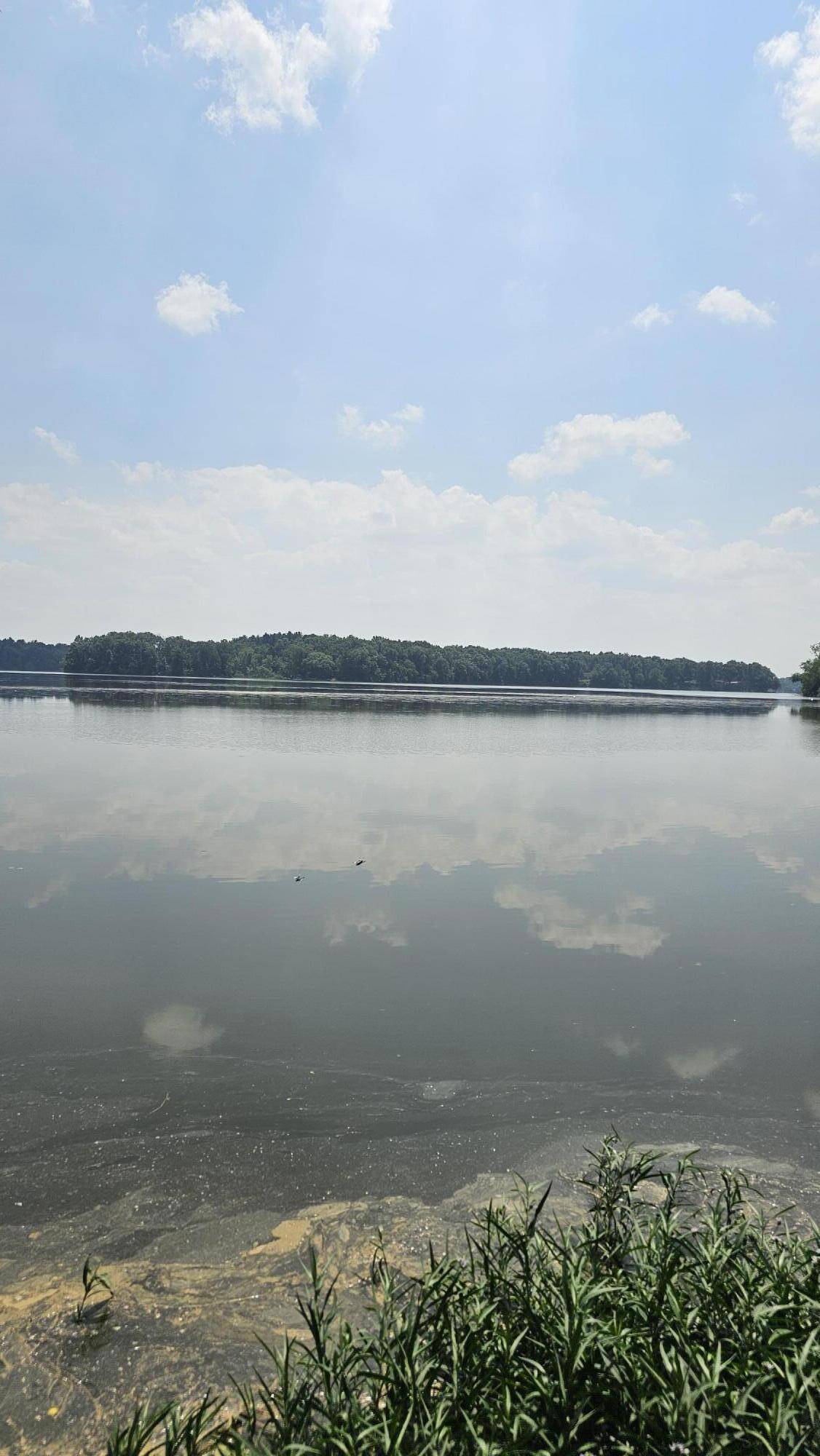 Three Rivers, MI 49093,57907 James Drive