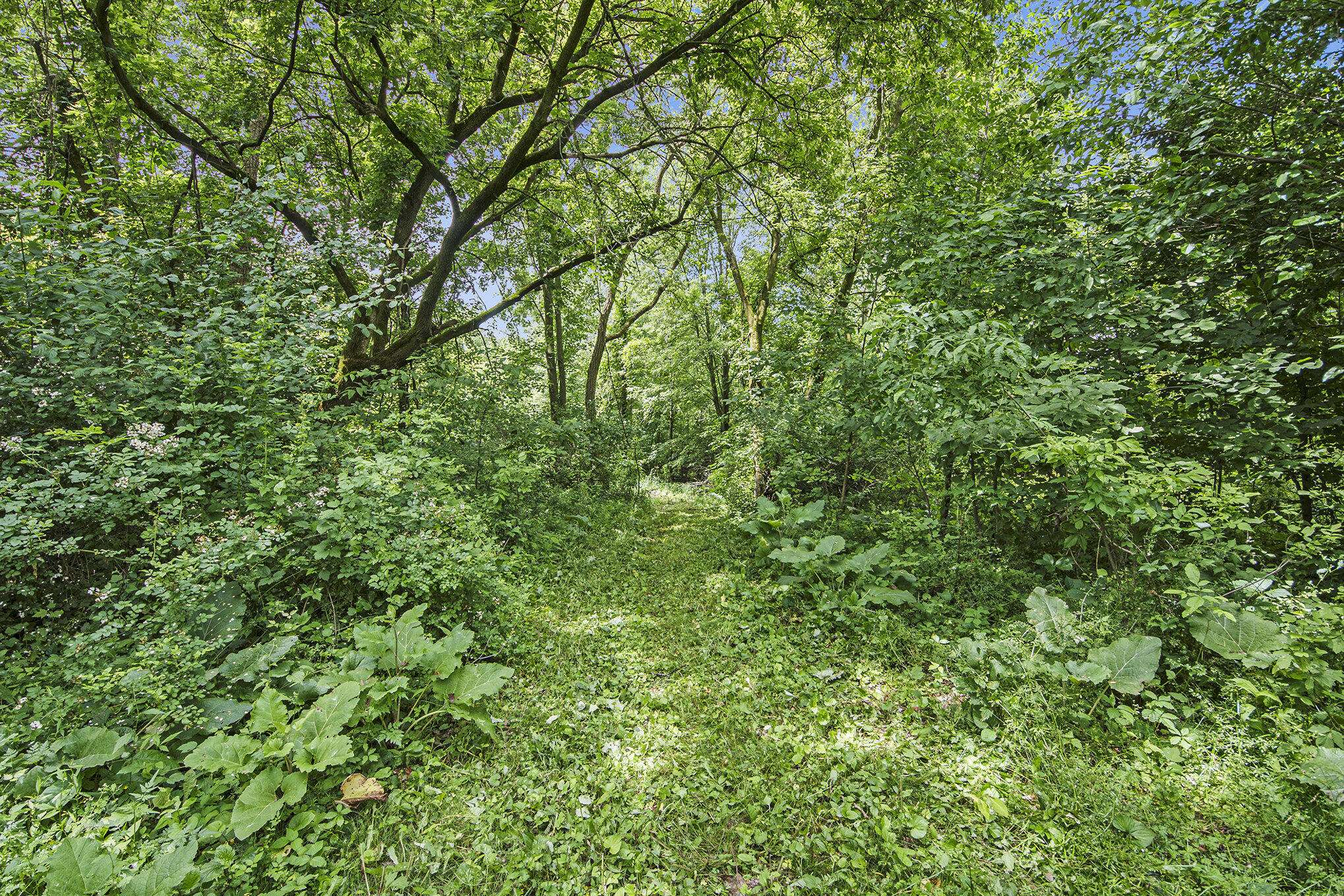 Caledonia, MI 49316,7079 Hanna Lake SE Avenue