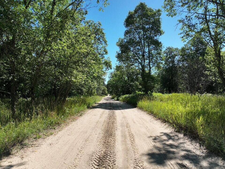 Fife Lake, MI 49633,11722 Behlke SE Road