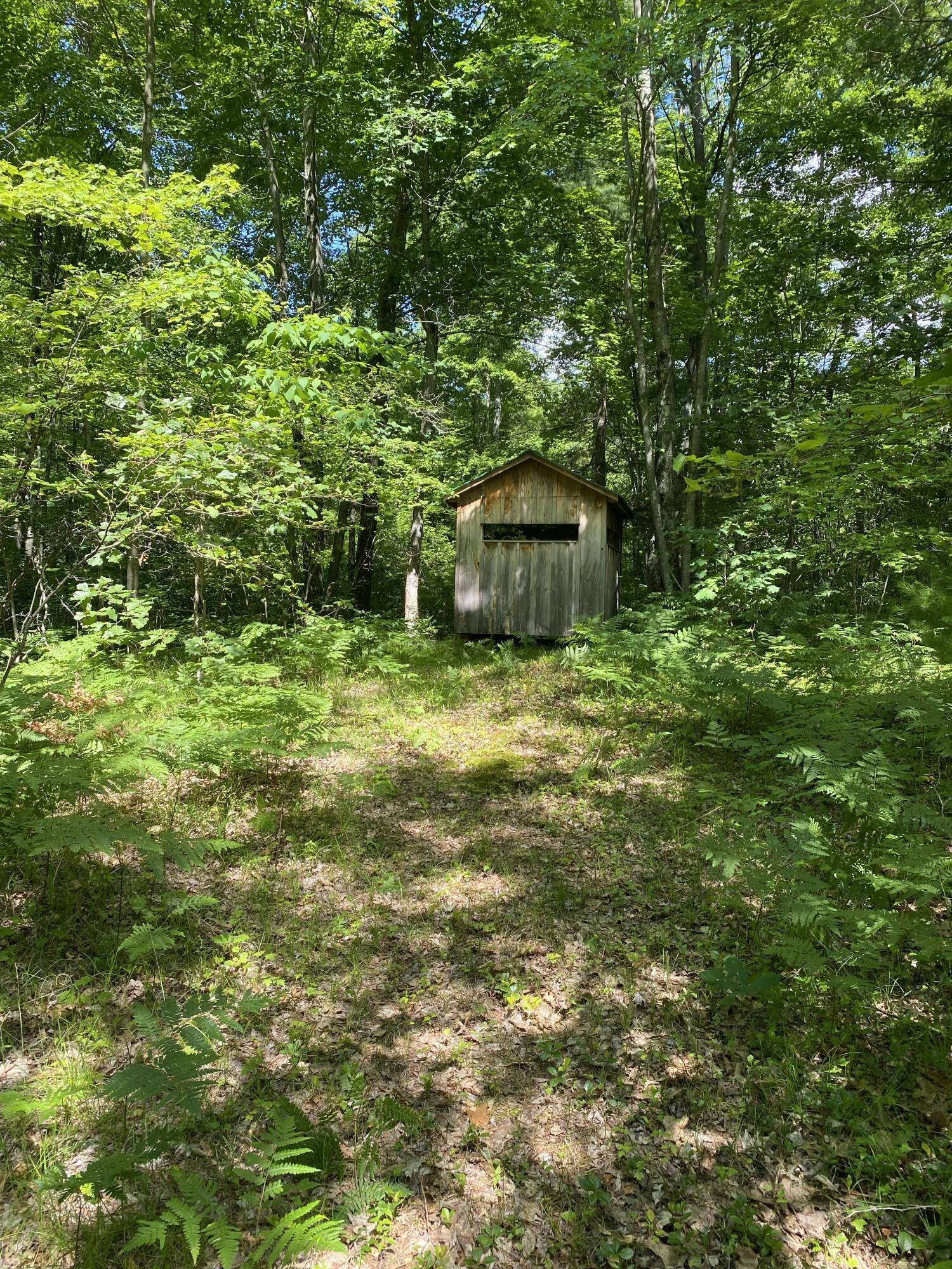 Bitely, MI 49309,9190 Ferris Avenue