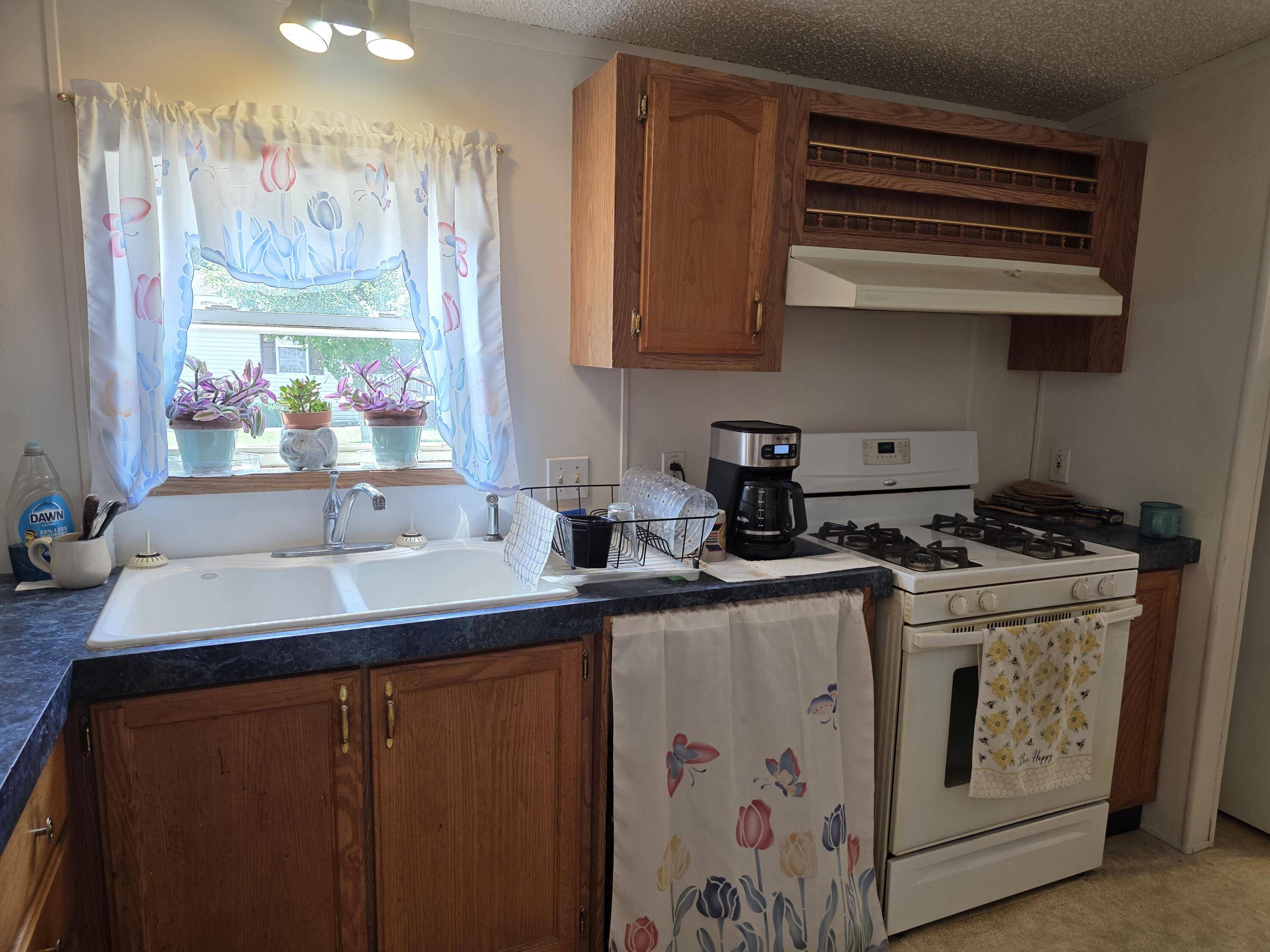 Cedar Springs, MI 49319,3567 Hollyfield Drive