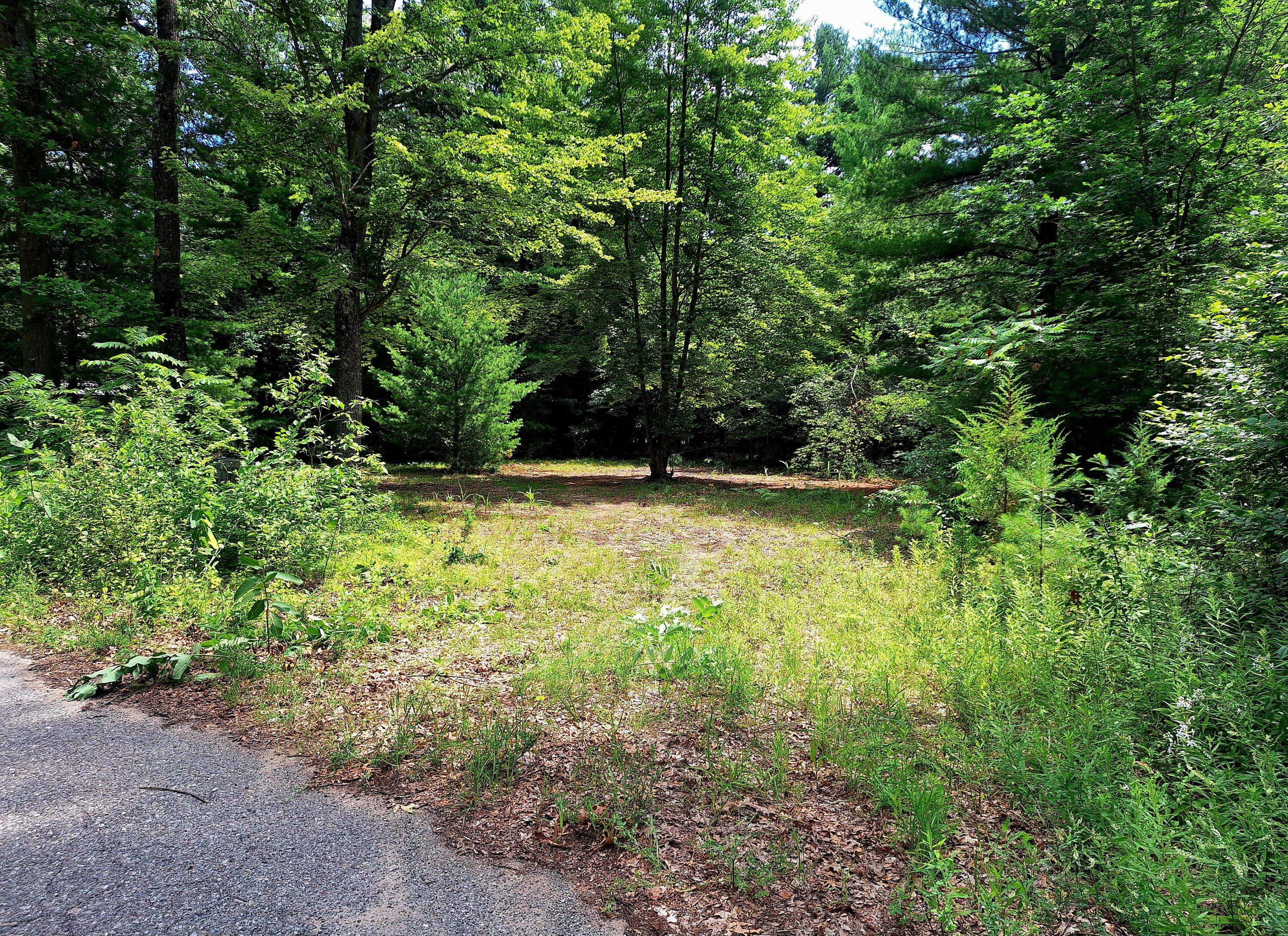 Newaygo, MI 49337,5558 N King Street