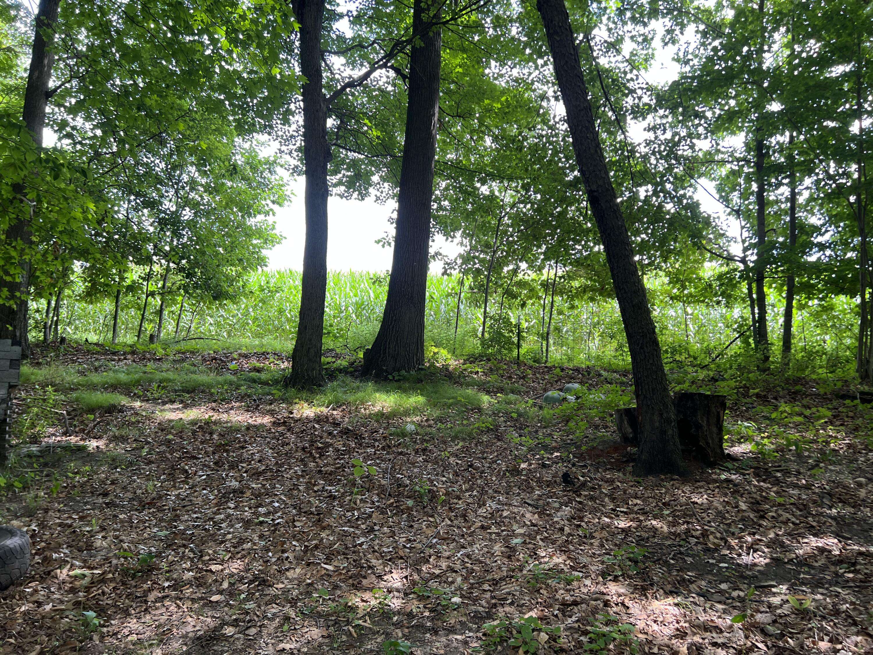 Lakeview, MI 48850,5092 East Drive