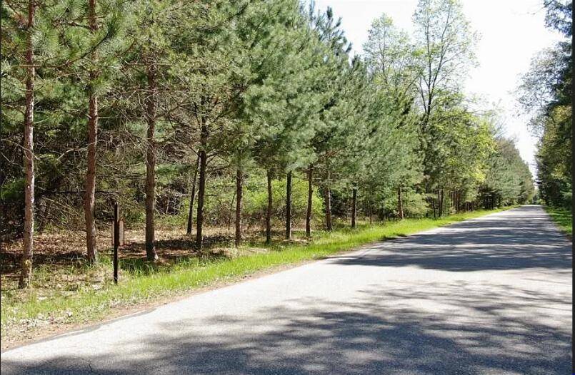 Mecosta, MI 49332,9101 Forest Pines Drive