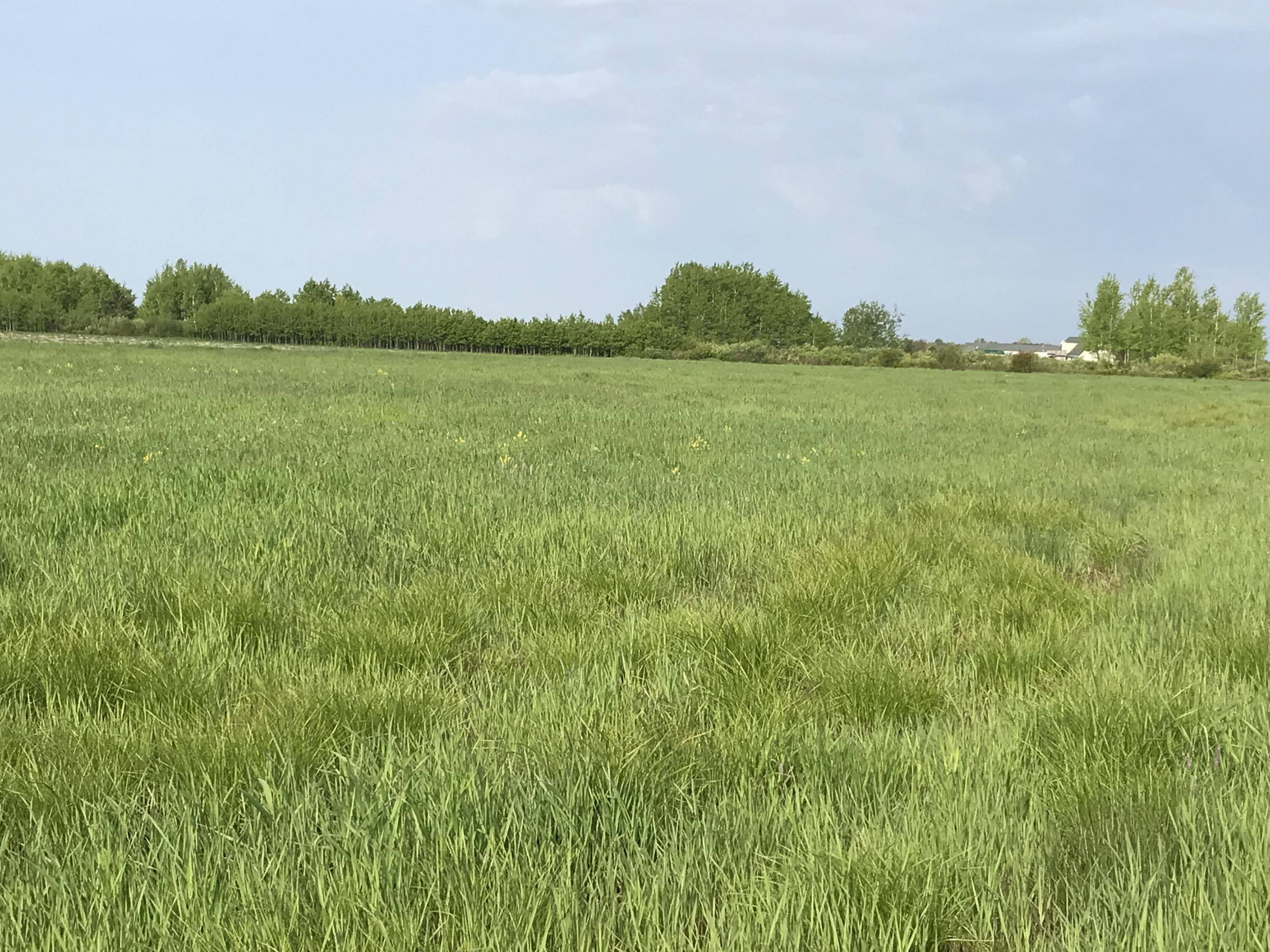 Sault Ste. Marie, MI 49783,Parcel A Shunk Road