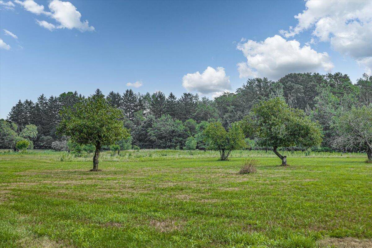 Three Oaks, MI 49128,19839 Witt Road