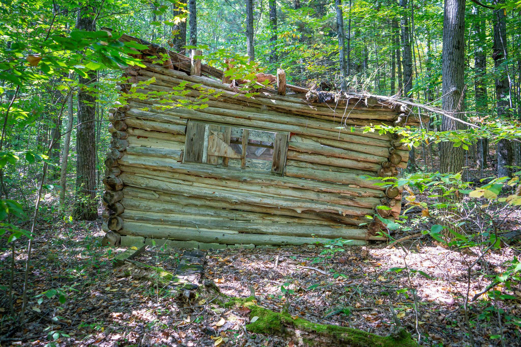 Hesperia, MI 49421,V/L 2.46A E White River Drive