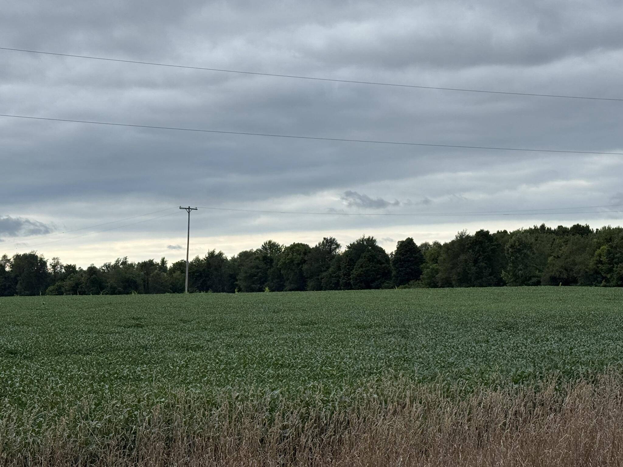 Reading, MI 49274,5160 Quackenbush Road