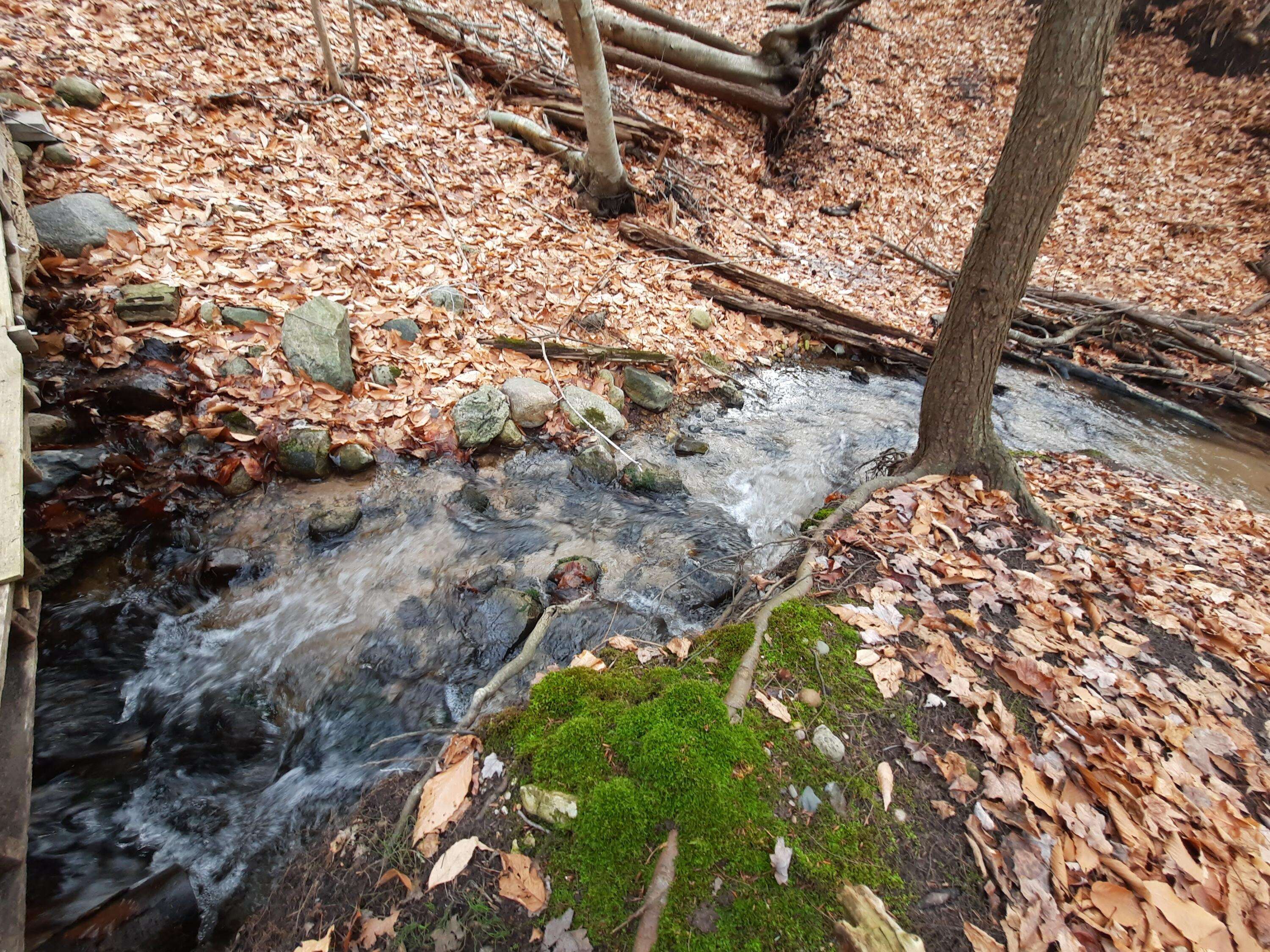 Onekama, MI 49675,8.5 ACRES, 3rd Street