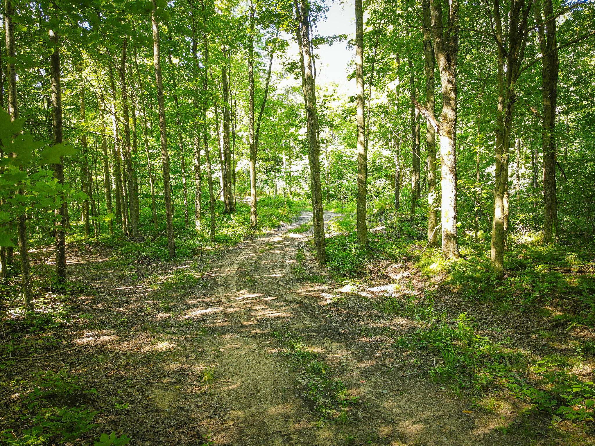 Walkerville, MI 49459,Parcel B N 168th Avenue