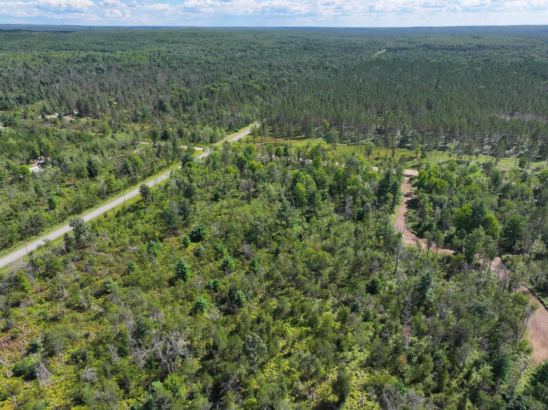 Idlewild, MI 49642,V/L 10A 72nd Street