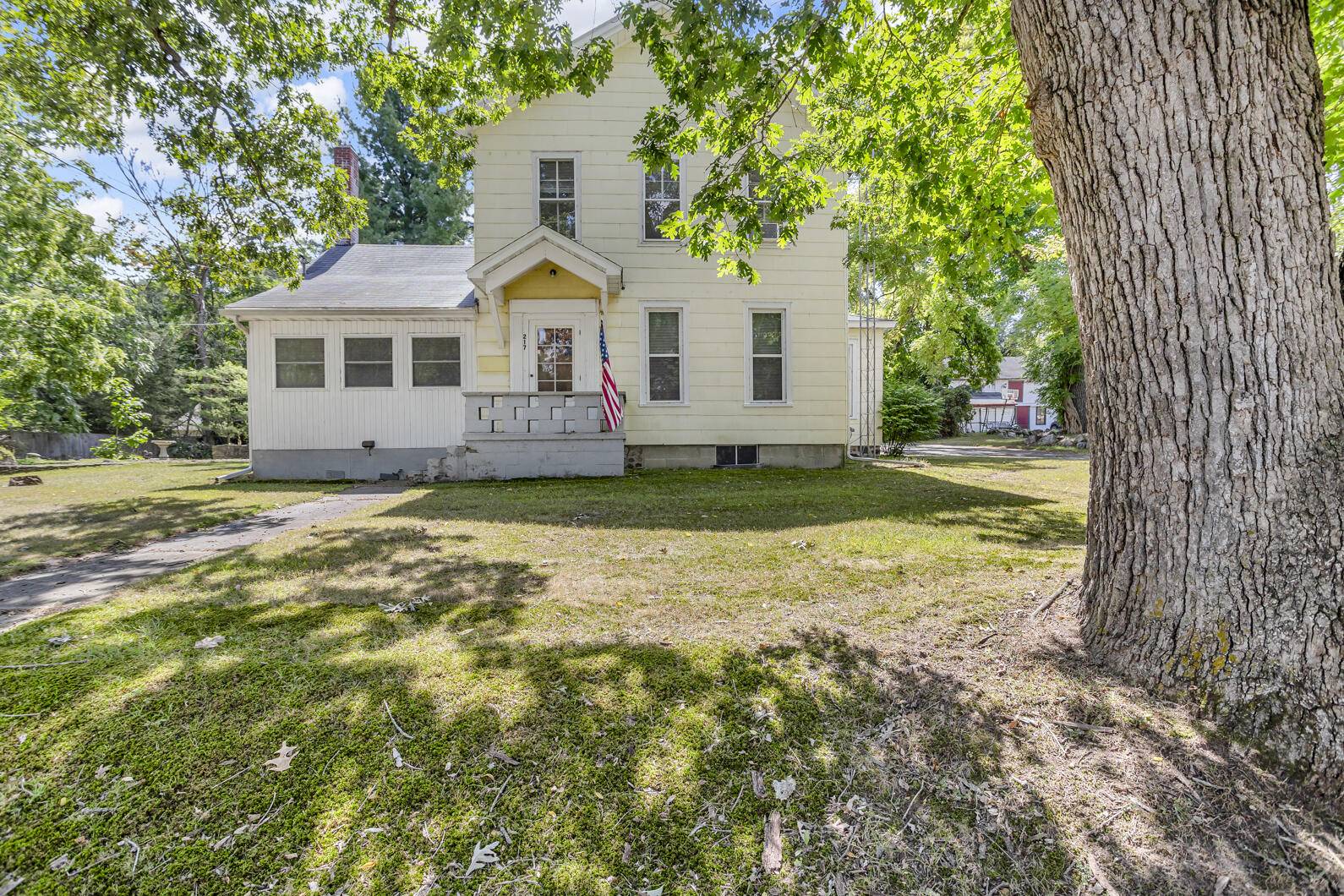 Brooklyn, MI 49230,217 Marshall Street