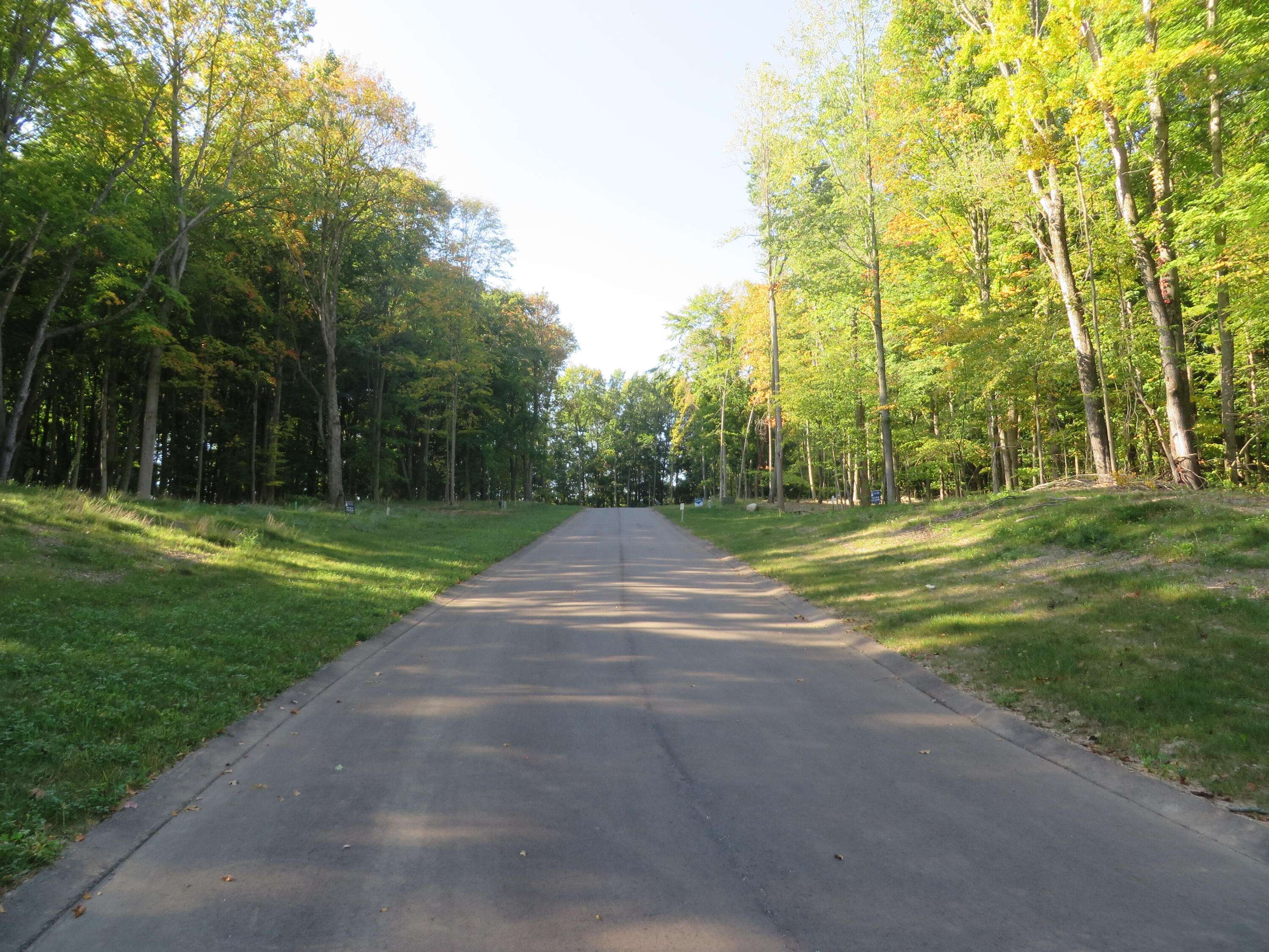 Caledonia, MI 49316,8700 Rainbows End SE Court #Parcel #8