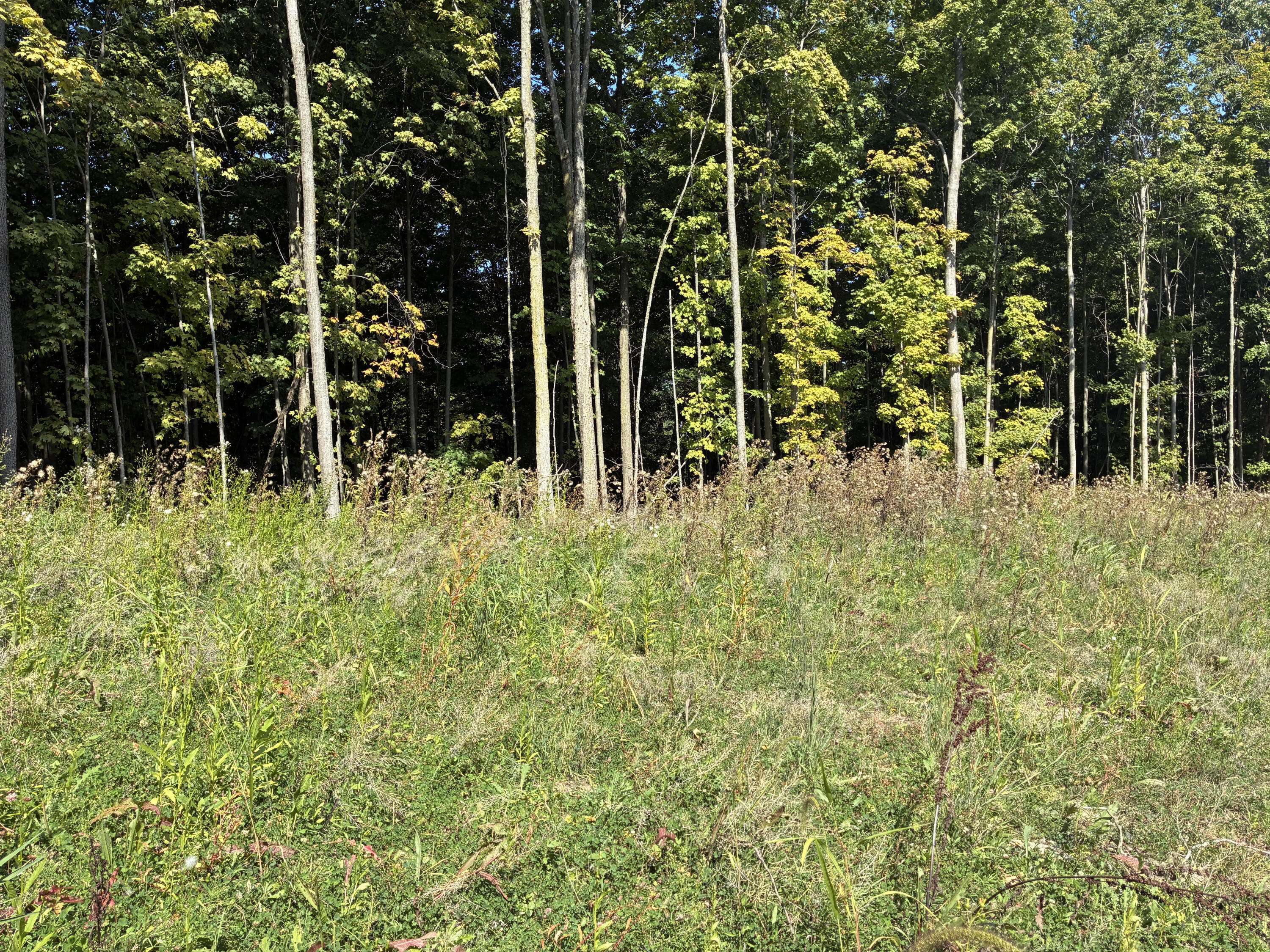 Caledonia, MI 49316,7701 Broadmoor SE Avenue