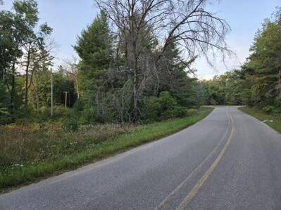 Idlewild, MI 49642,V/L Lake Drive