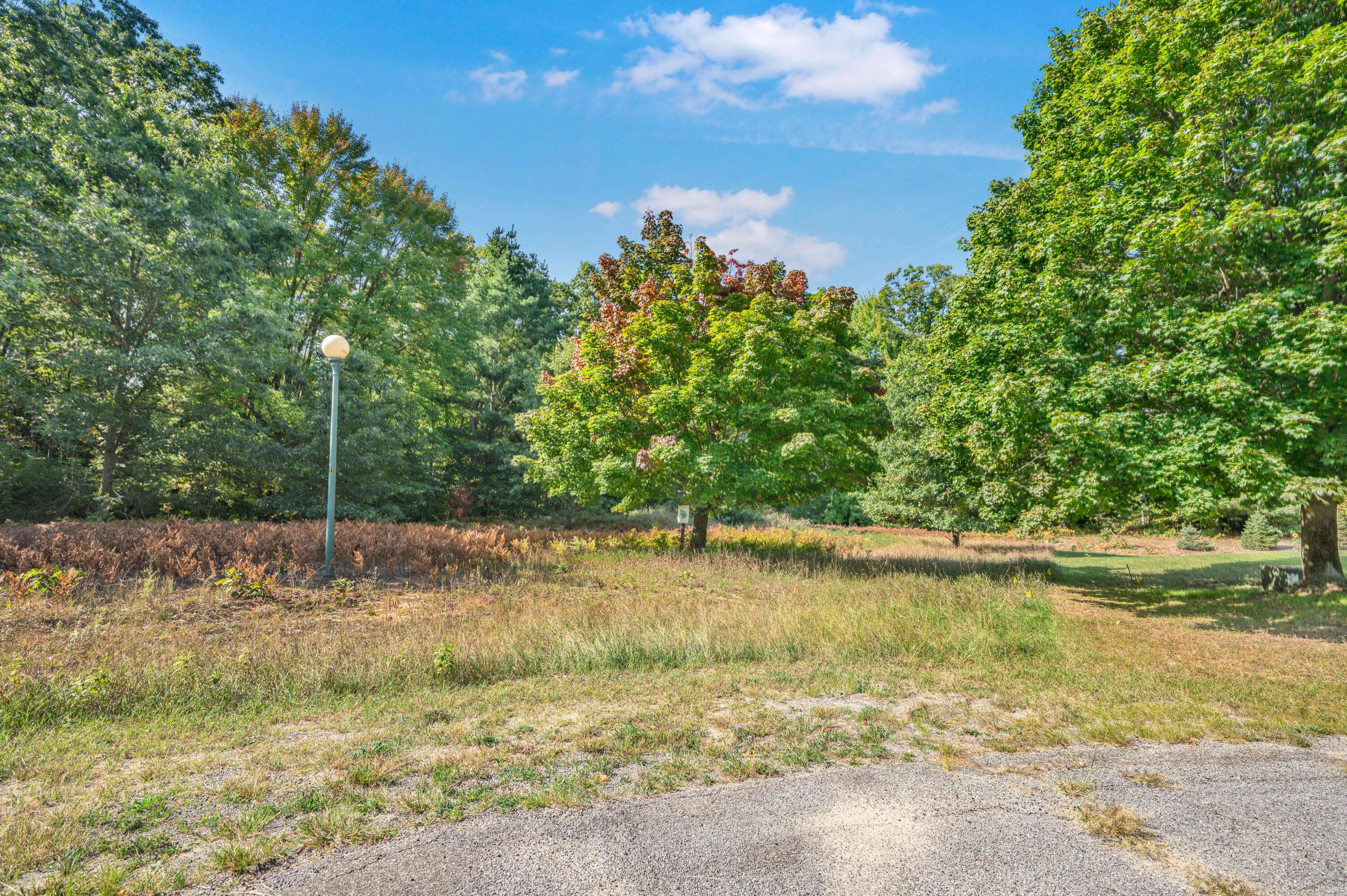 Big Rapids, MI 49307,Lot 6 University Club Dr