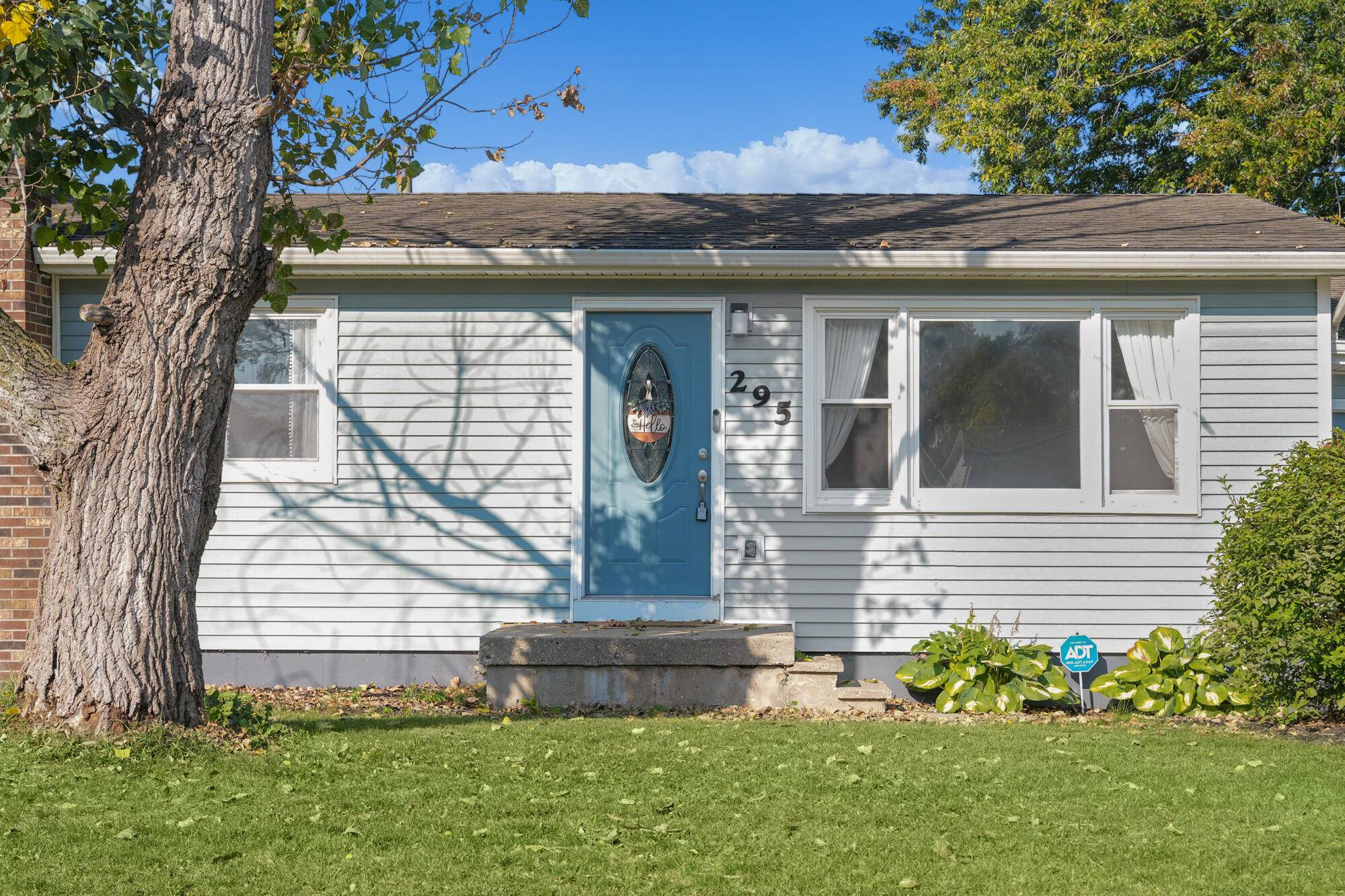 Cedar Springs, MI 49319,295 8th NE Street