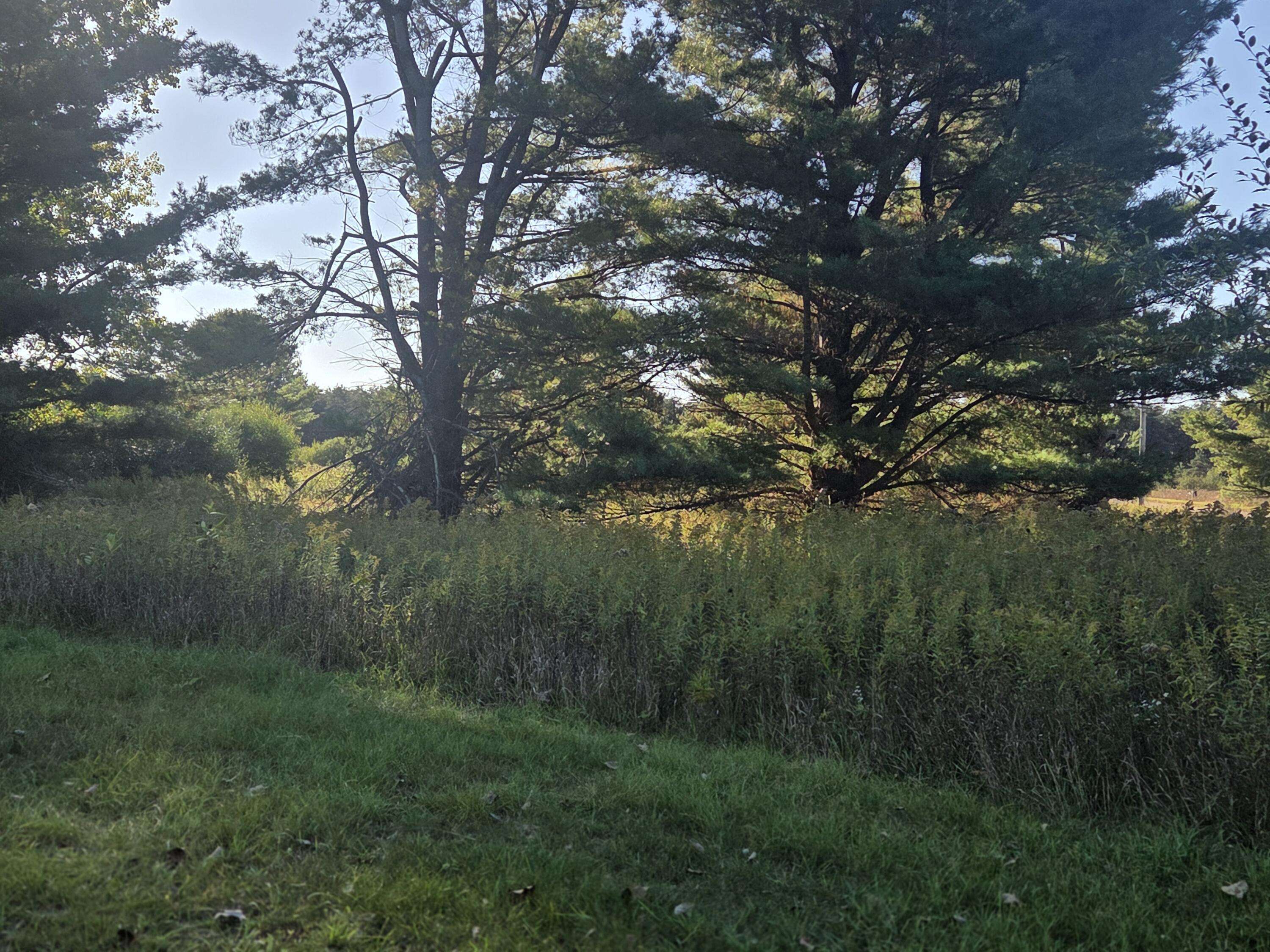 Canadian Lakes, MI 49346,11517 Pine Crest Drive