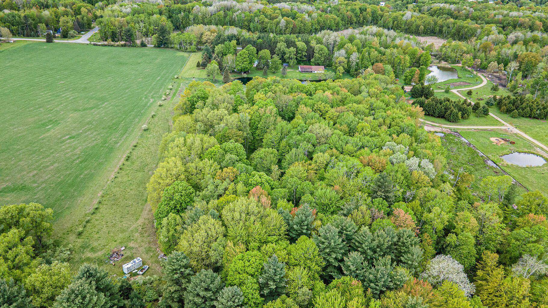 Barryton, MI 49305,VL 45th Avenue