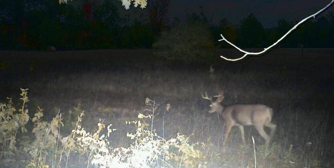 Barryton, MI 49305,VL 45th Avenue