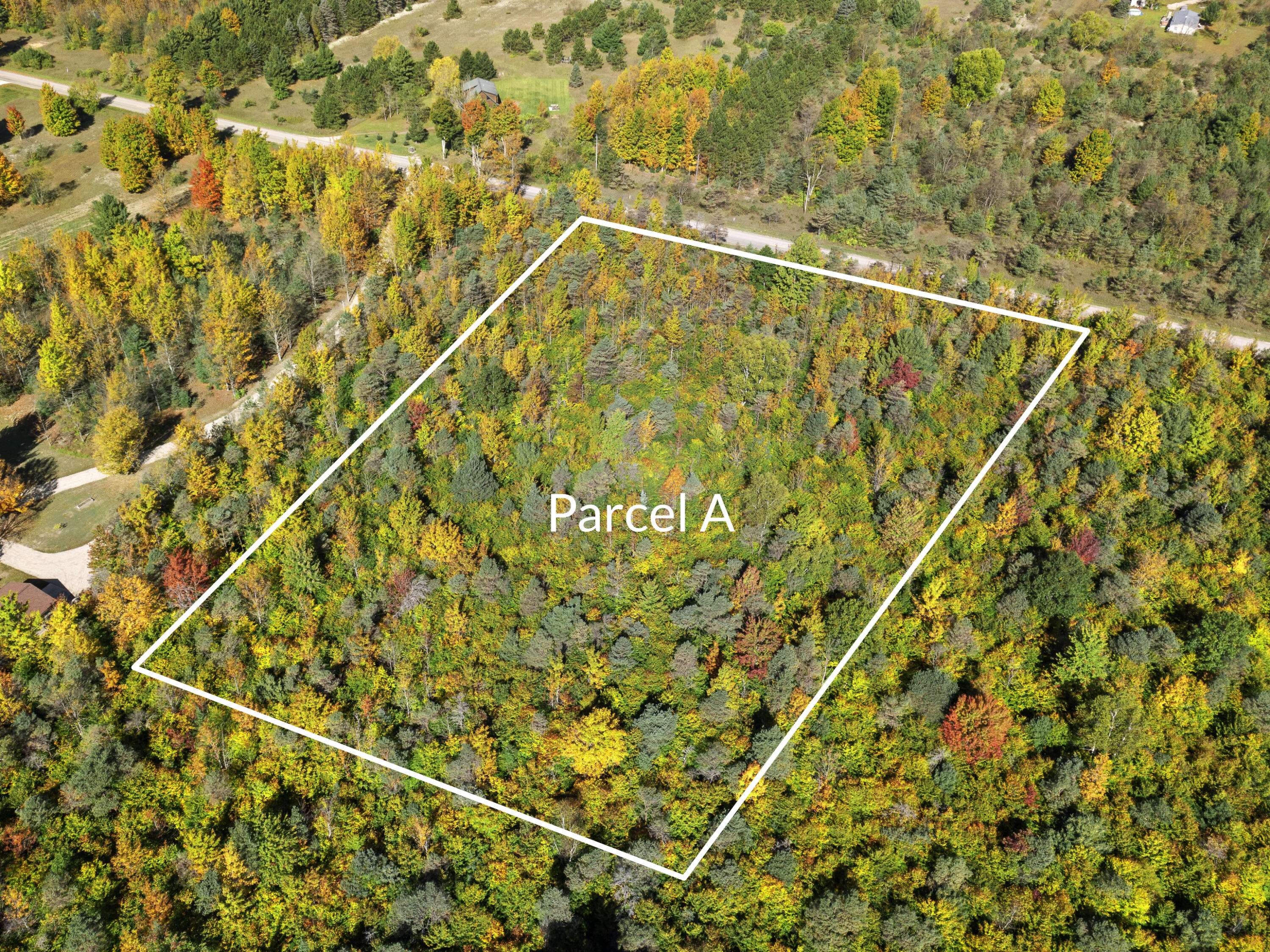 Beulah, MI 49617,Parcel A Homestead Road