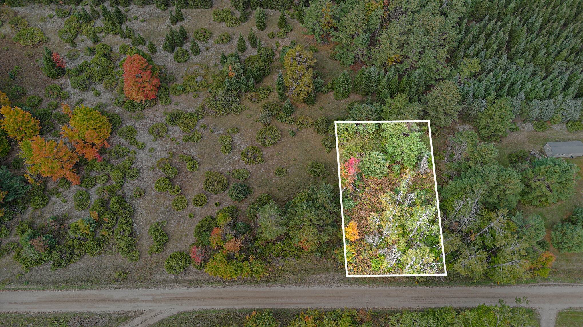 Cheboygan, MI 49721,V/L Trout Creek Road