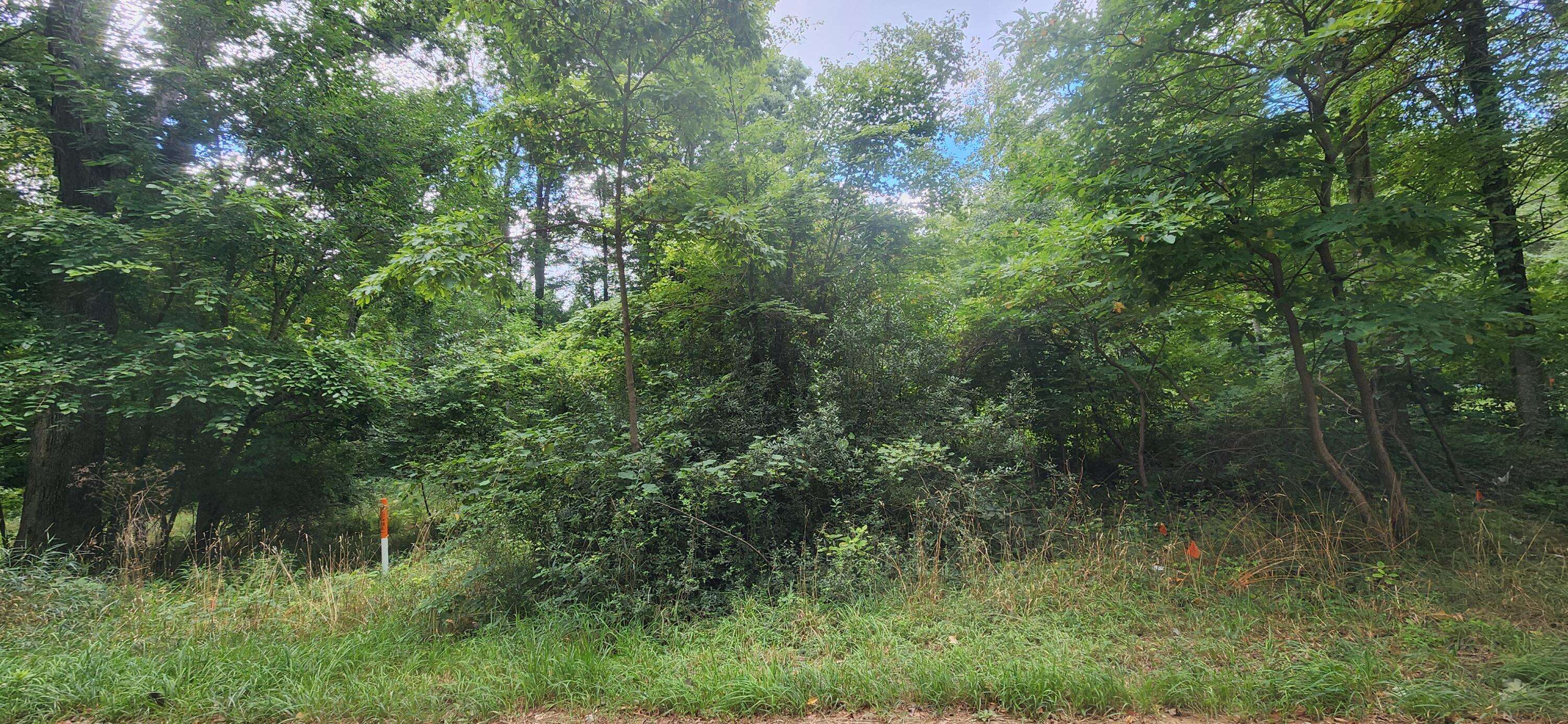 Grand Junction, MI 49056,51733 Baseline Road