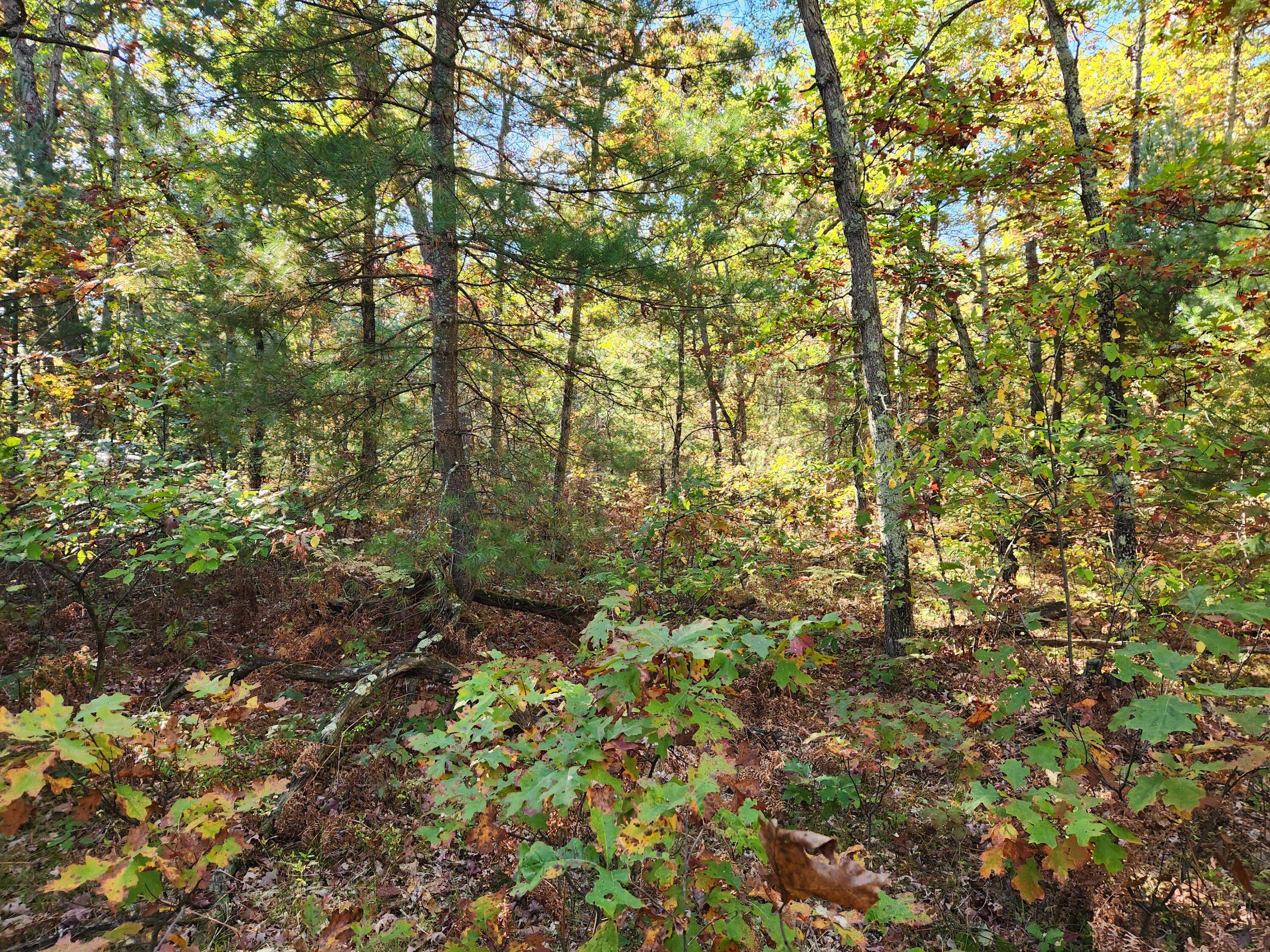 Wellston, MI 49689,259 S Baker Road