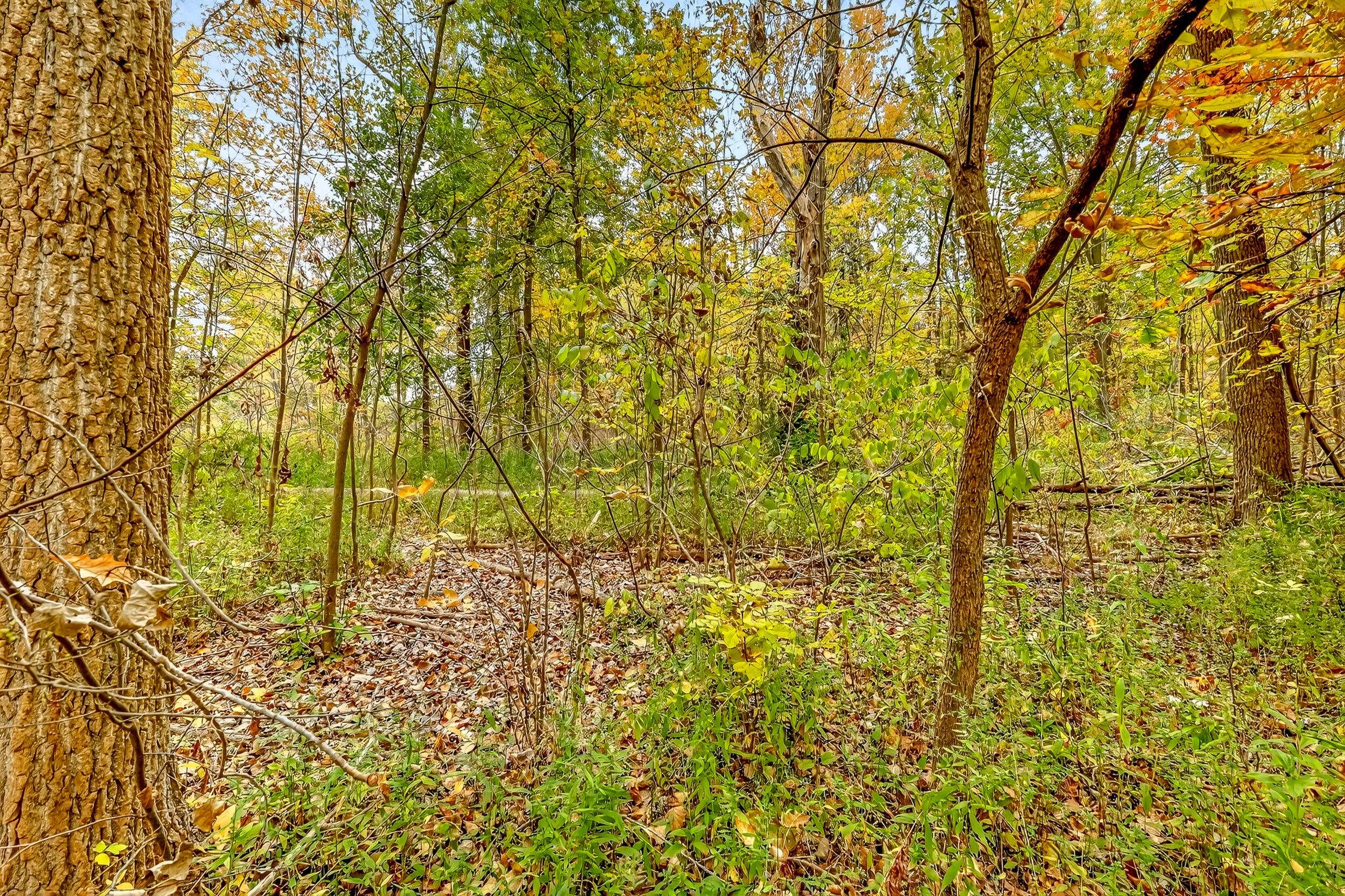 Grand Rapids, MI 49544,VL 4 Mile NW Road