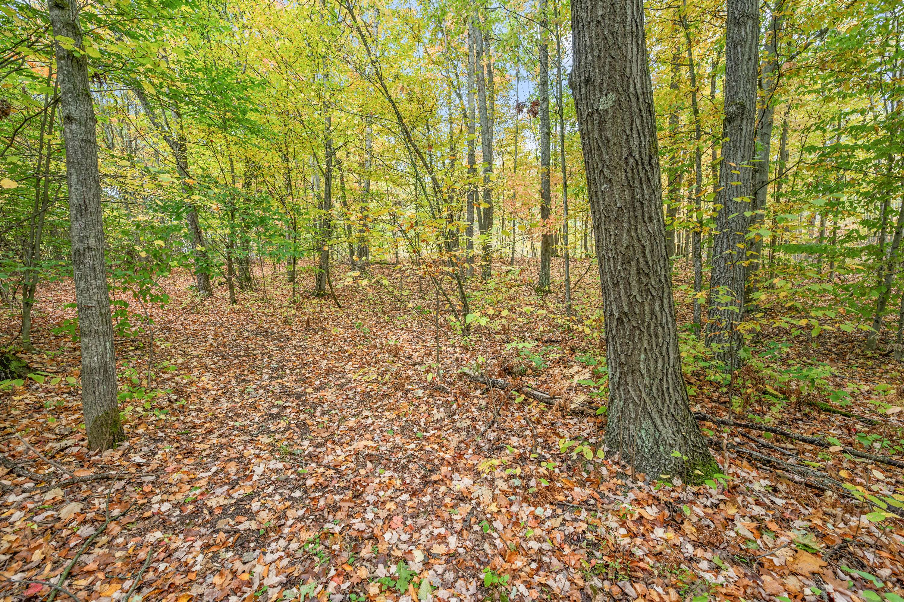 Evart, MI 49631,V/L 05 8 Mile Rd