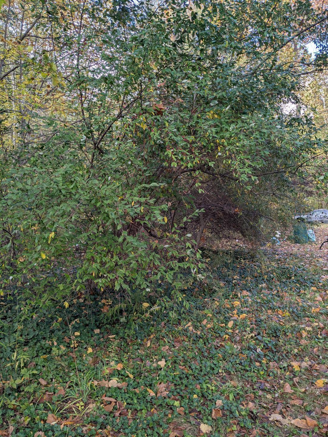 Constantine, MI 49042,66991 Winding River Road