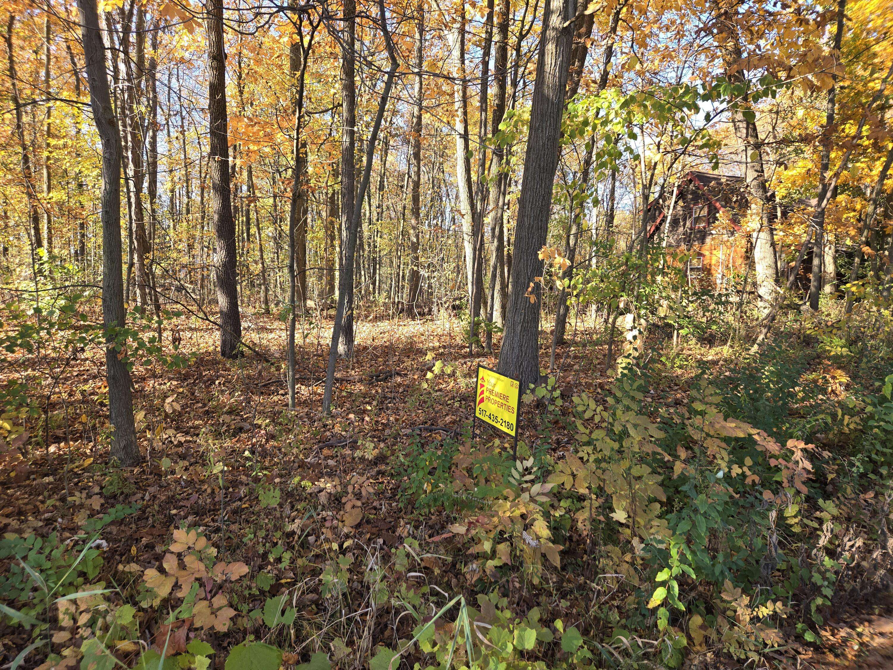 Onsted, MI 49265,9160 Kingsley Drive