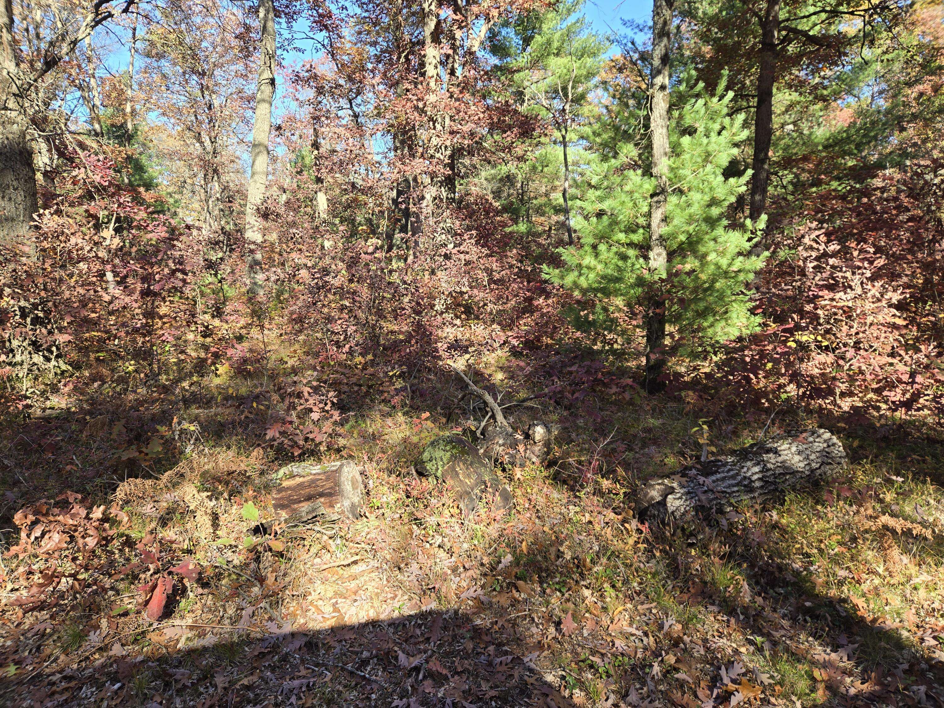 Baldwin, MI 49304,V/L M37