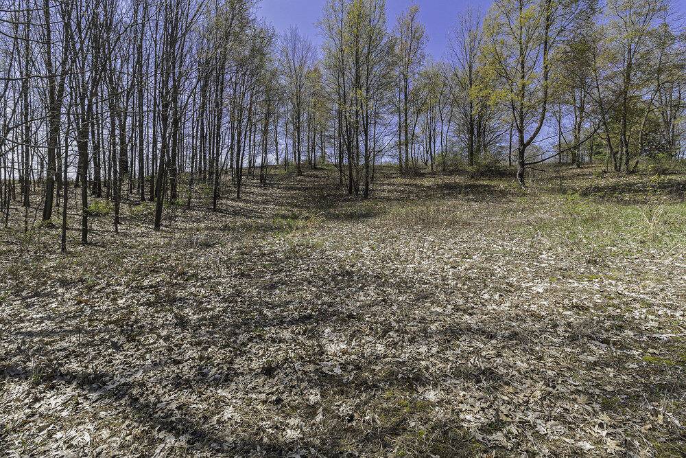 Parma, MI 49269,Lot 16 Campbell Lake Drive