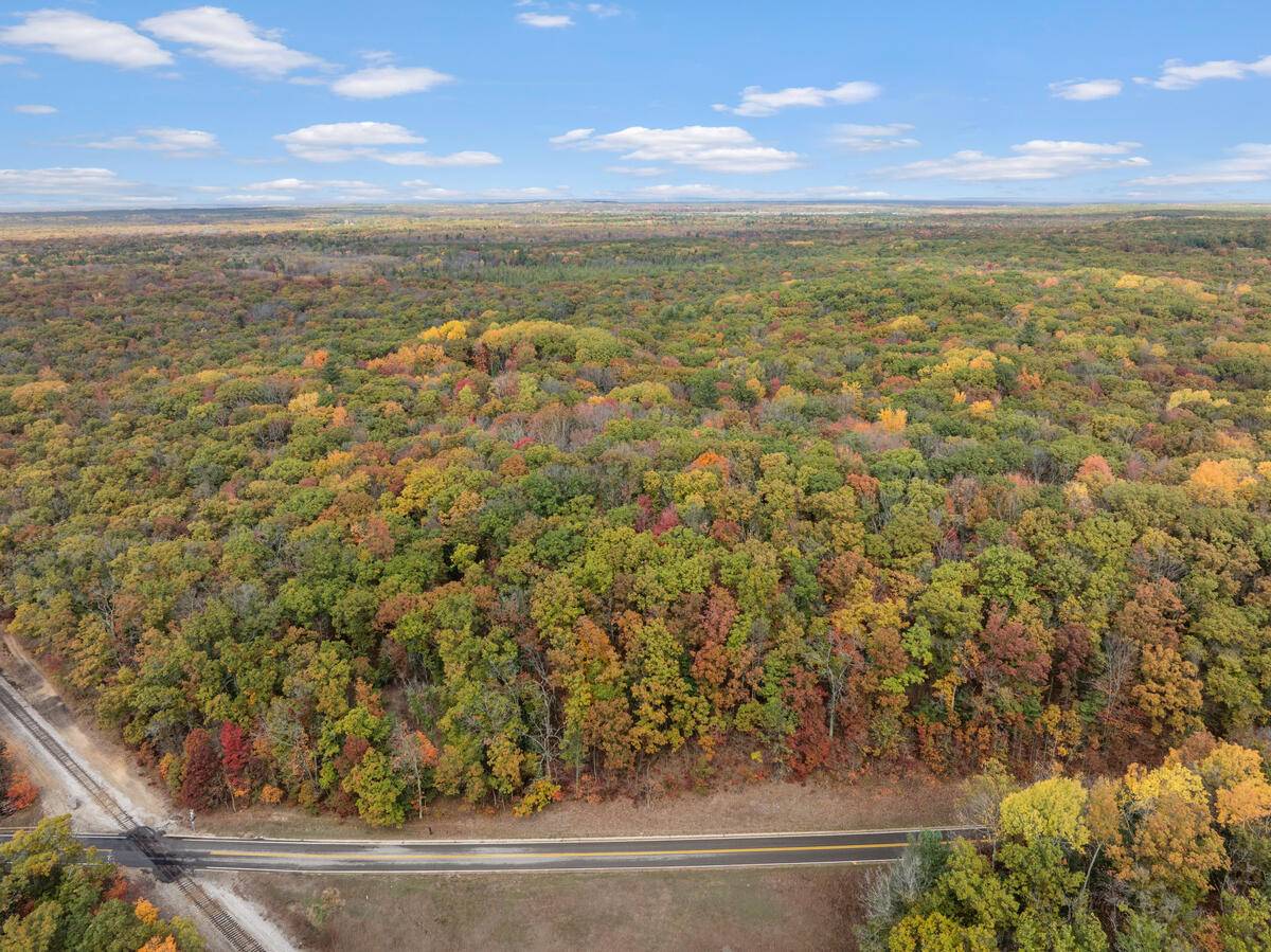 Bitely, MI 49309,1867 W 11 Mile Road