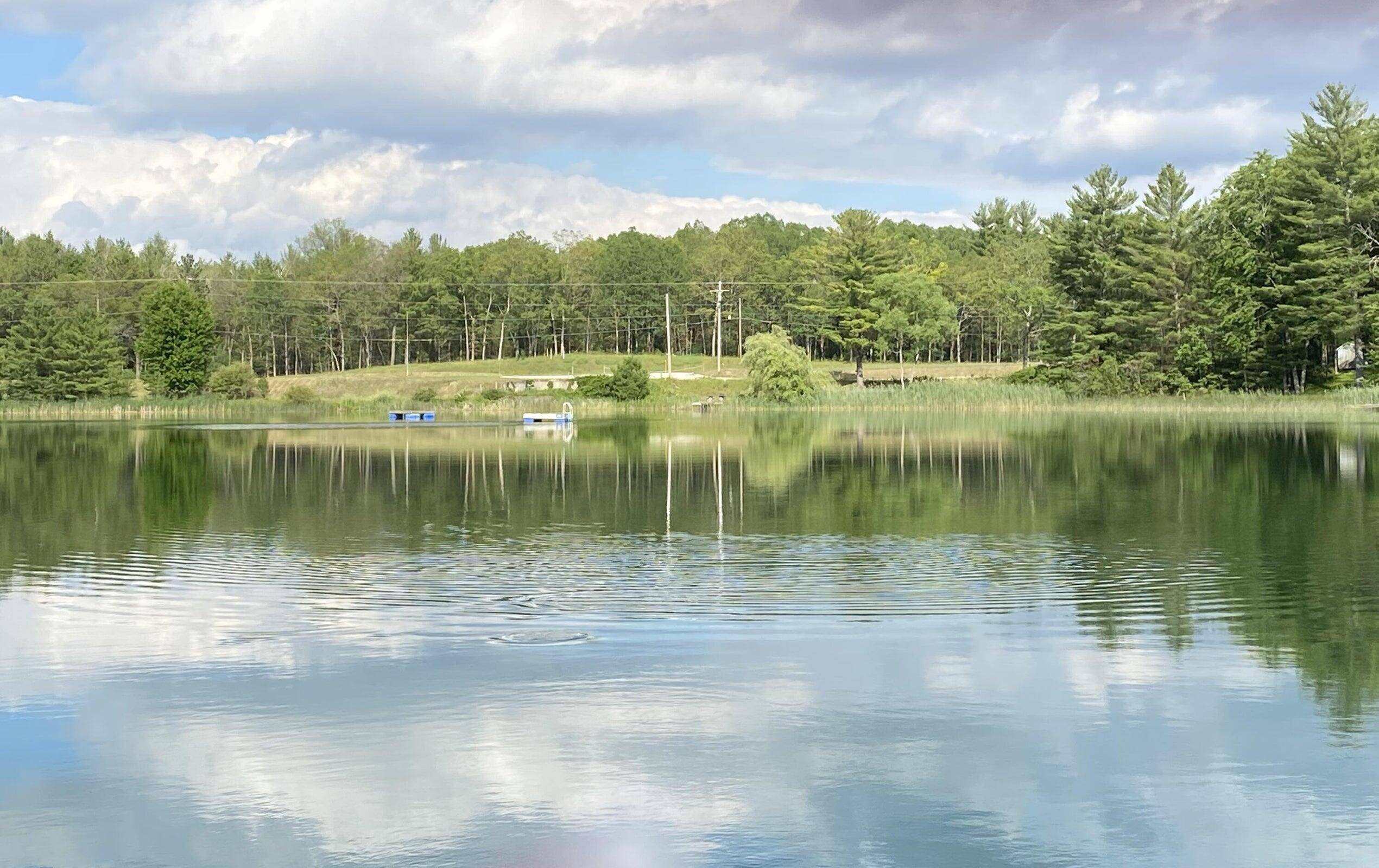 Baldwin, MI 49304,4953 M-37