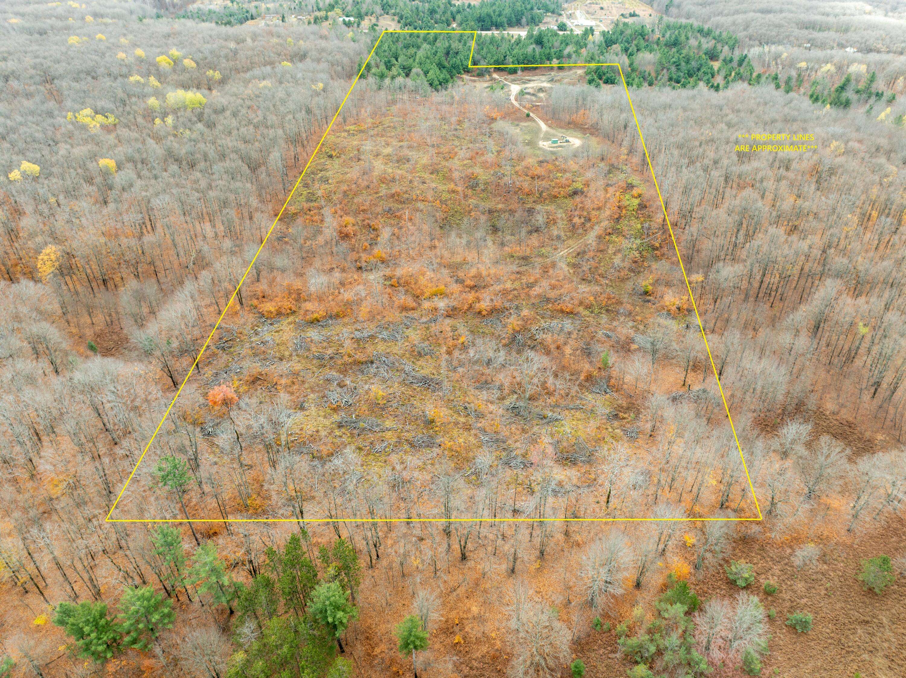 Mancelona, MI 49659,VL Mancelona Road