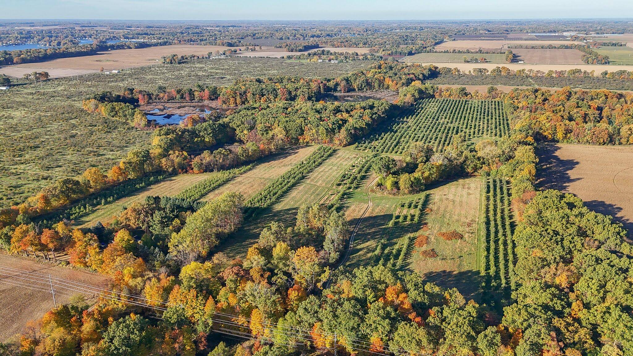 Decatur, MI 49045,VL 62nd Street