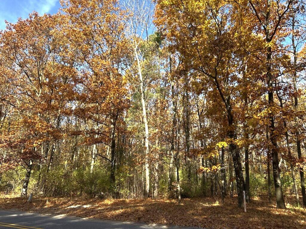 Lowell, MI 49331,VL Burroughs NE Street