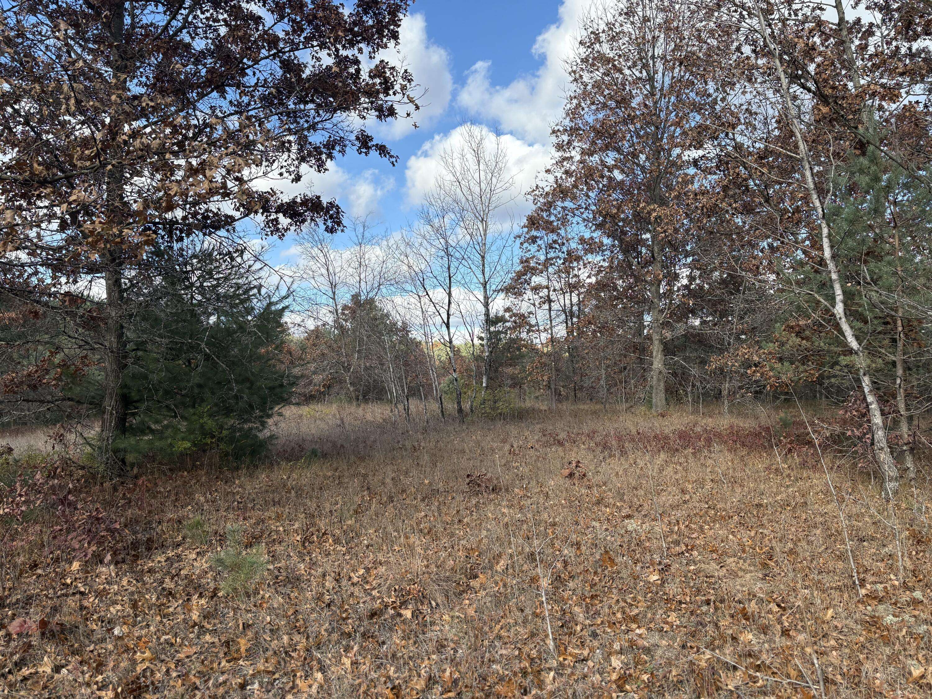 Newaygo, MI 49337,W Tamarack Road