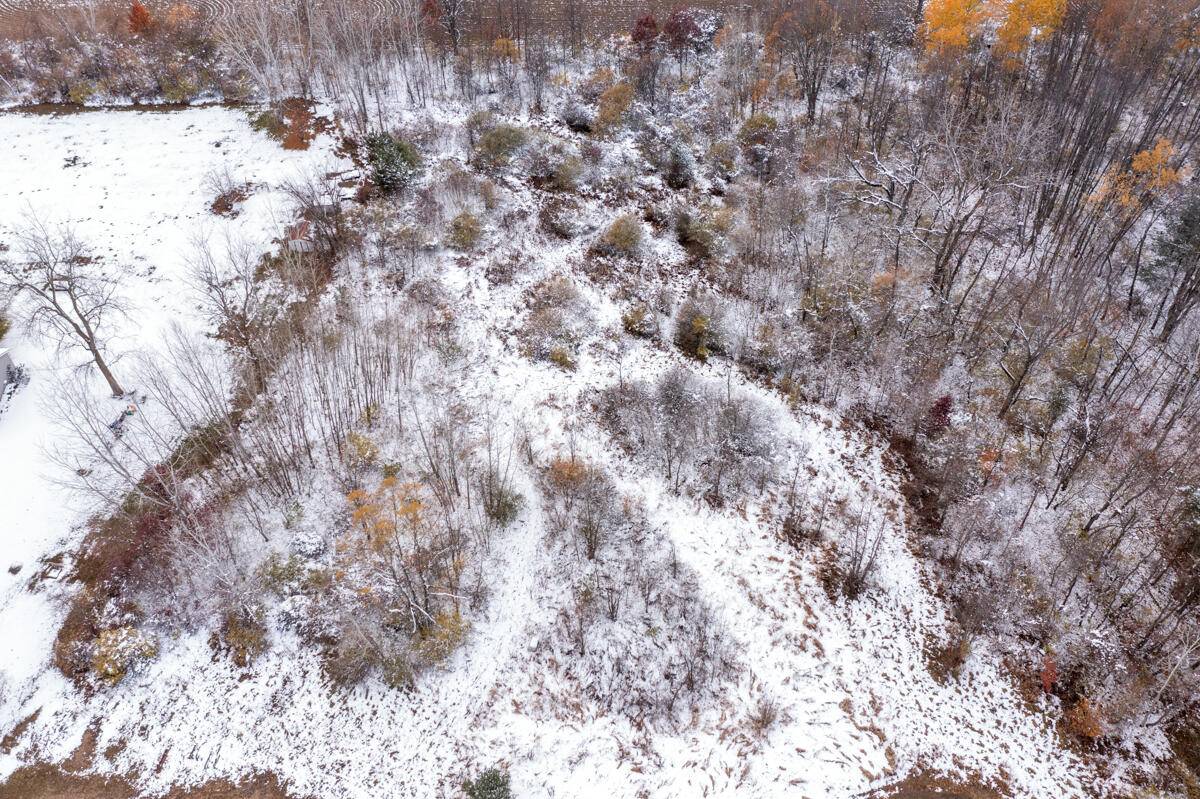 Allegan, MI 49010,Parcel A Fawn Path