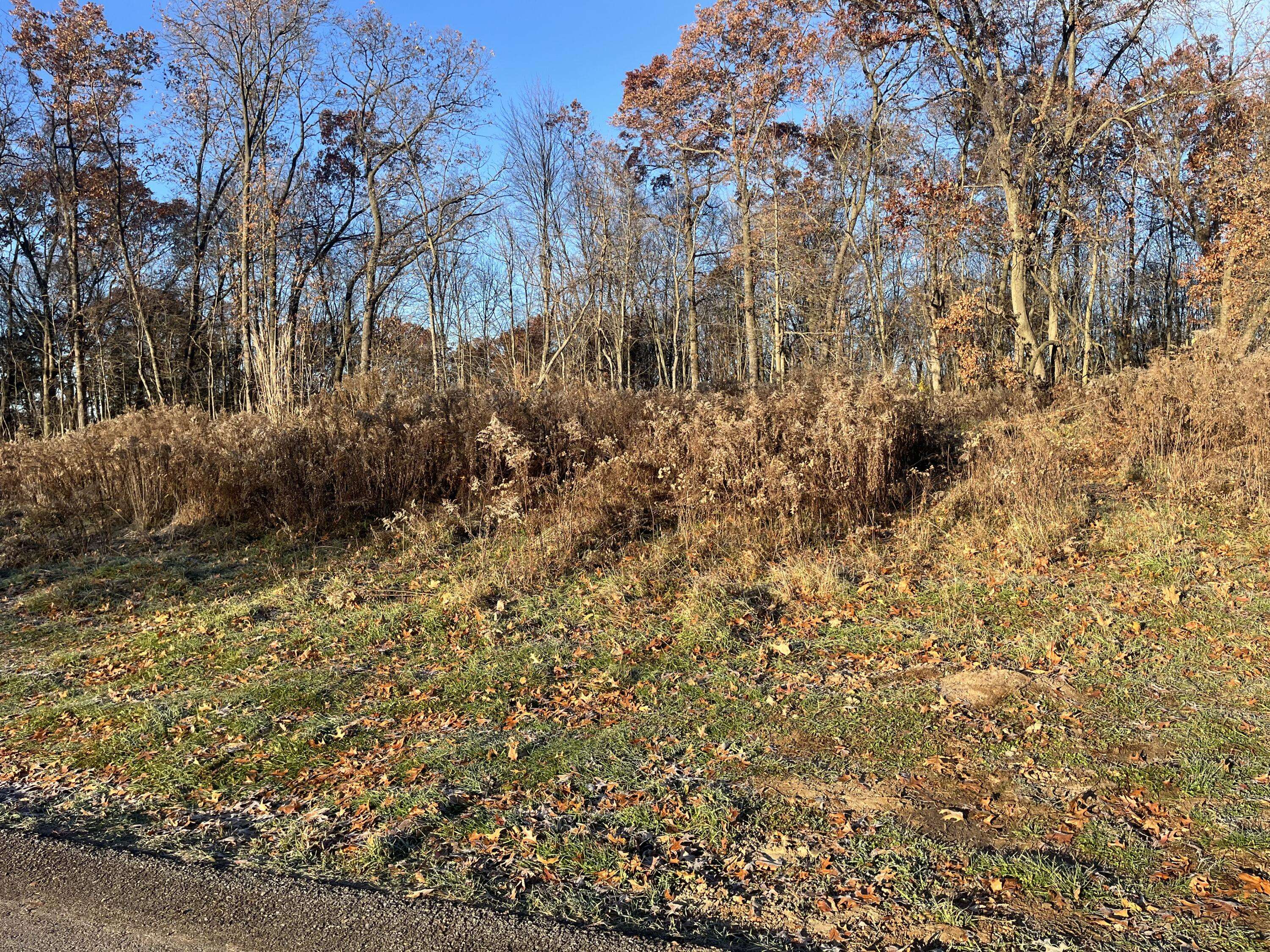 Lowell, MI 49331,12873 Triple Oak NE Drive #13