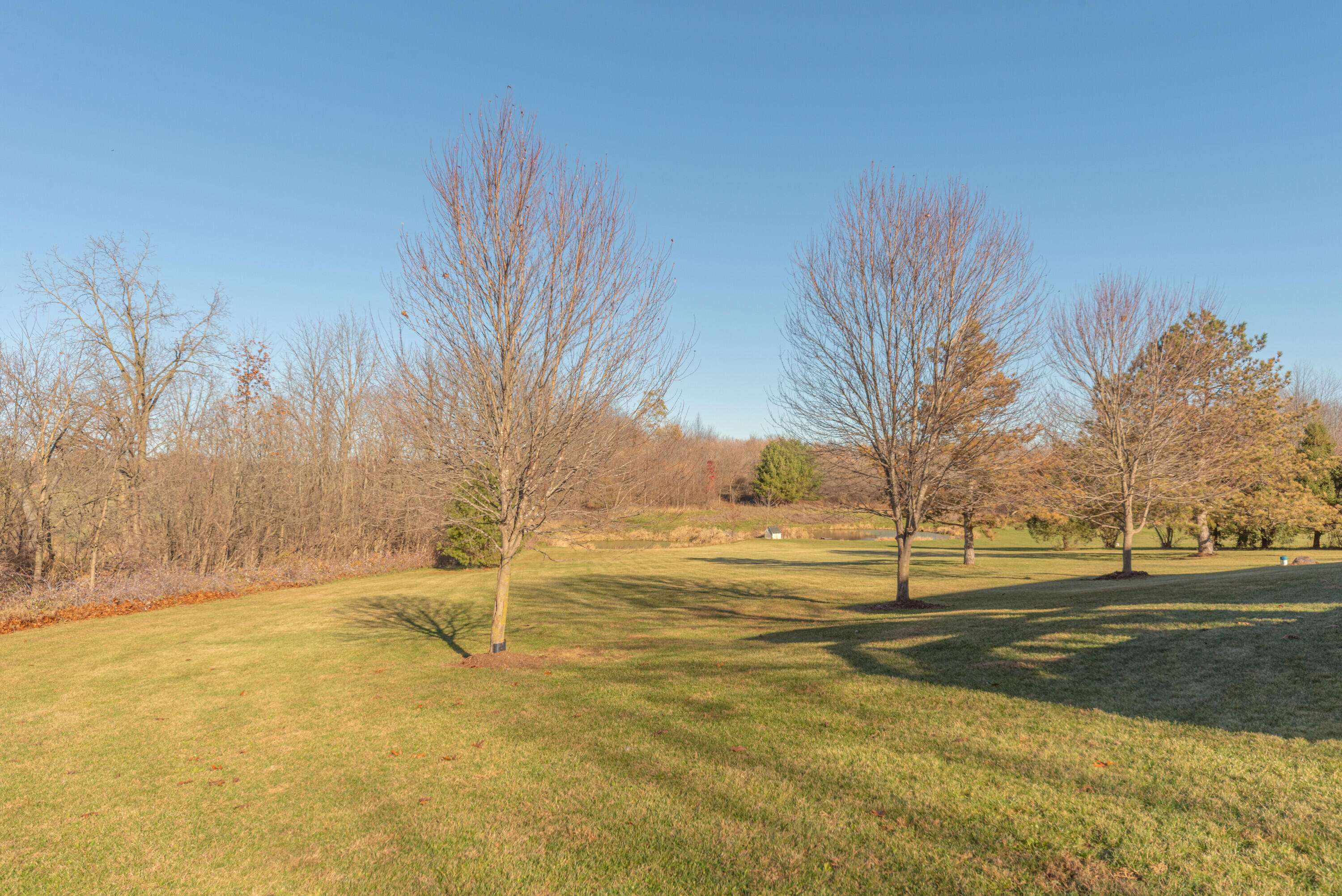 Dexter, MI 48130,6838 Daly Rd